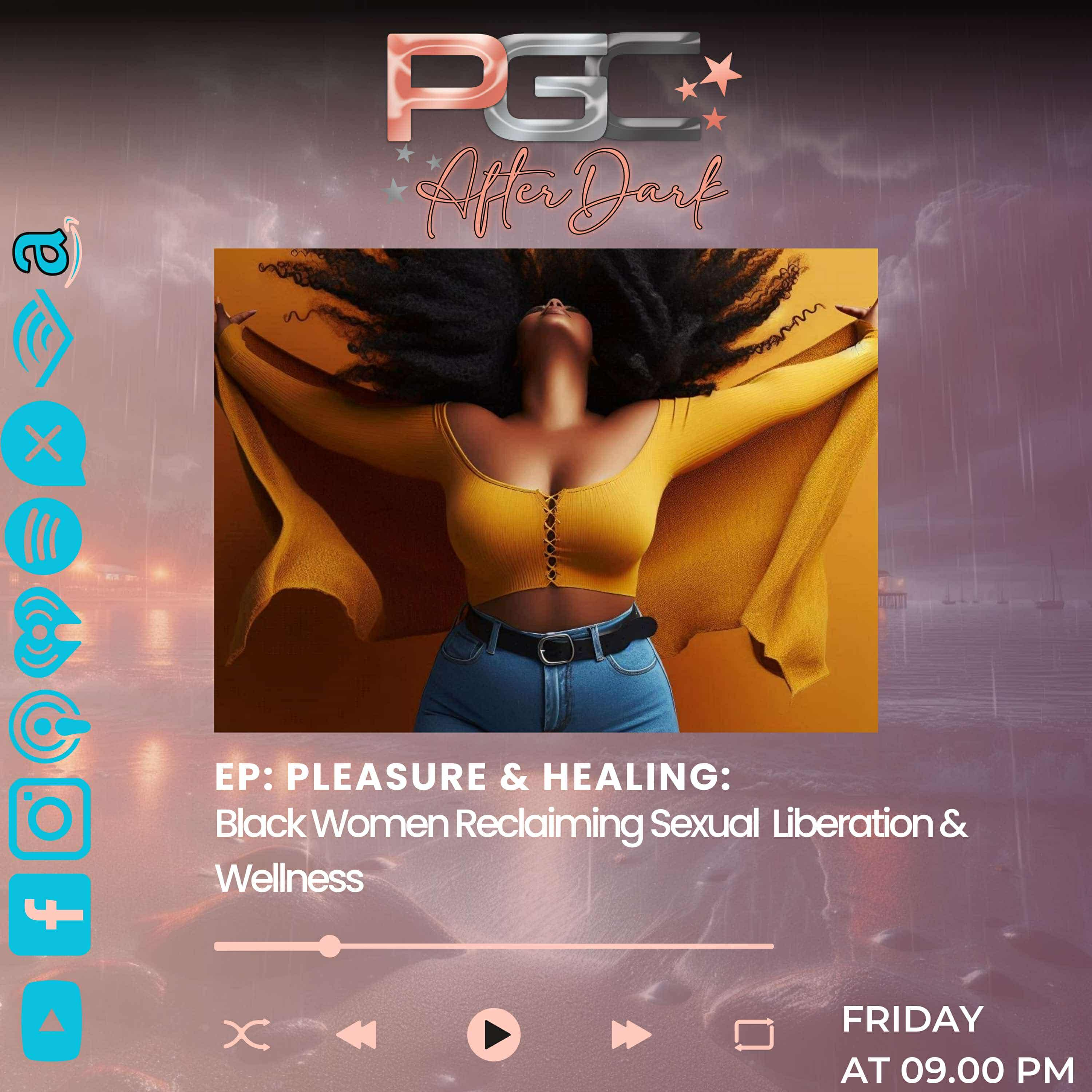 The Phat Girl Chronicles Podcast