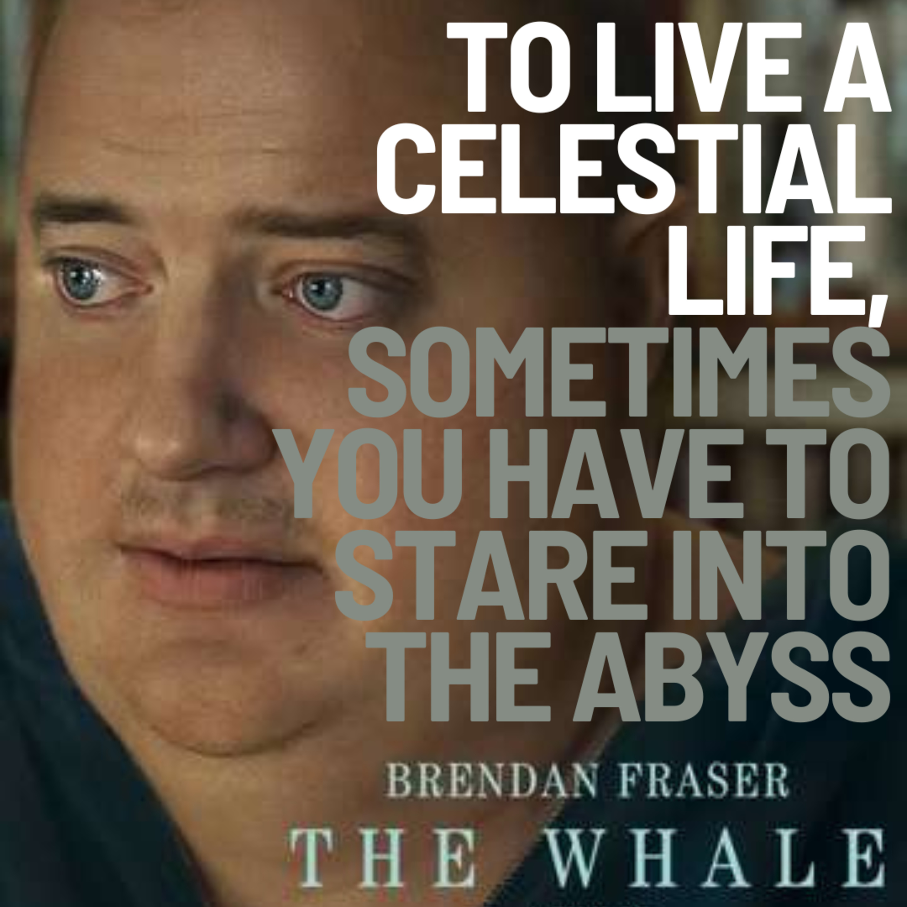 Pop Culture on the Apricot Tree