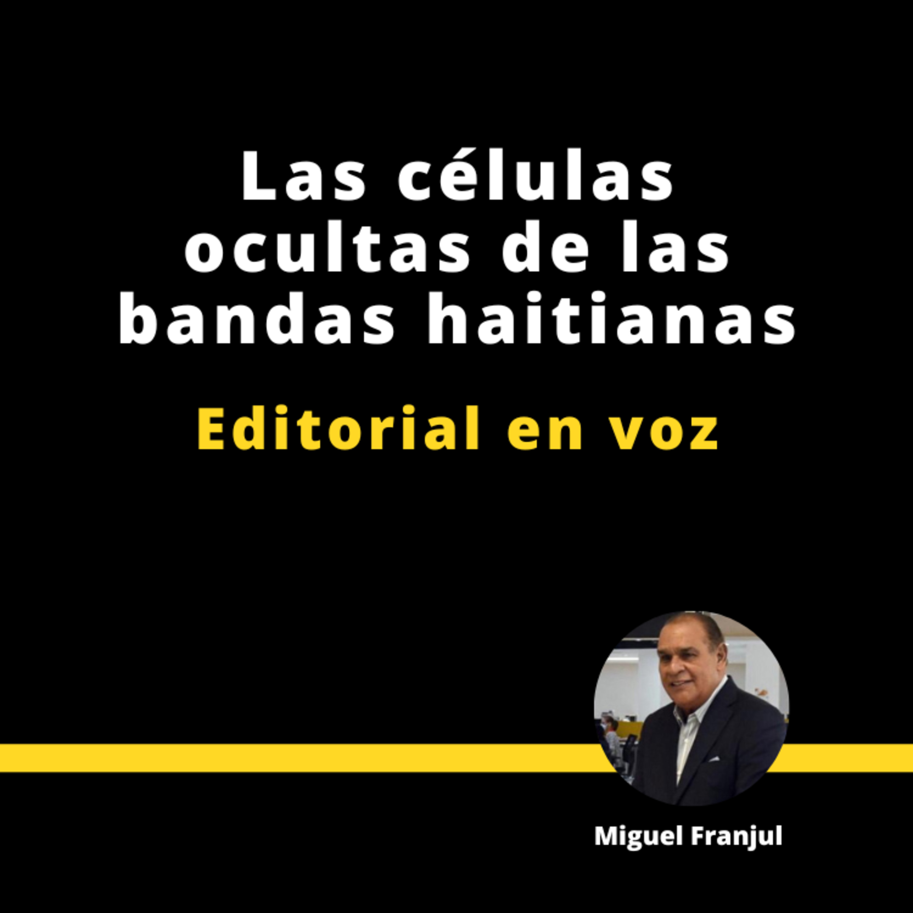 LAS CÉLULAS OCULTAS DE LAS BANDAS HAITIANAS episode artwork
