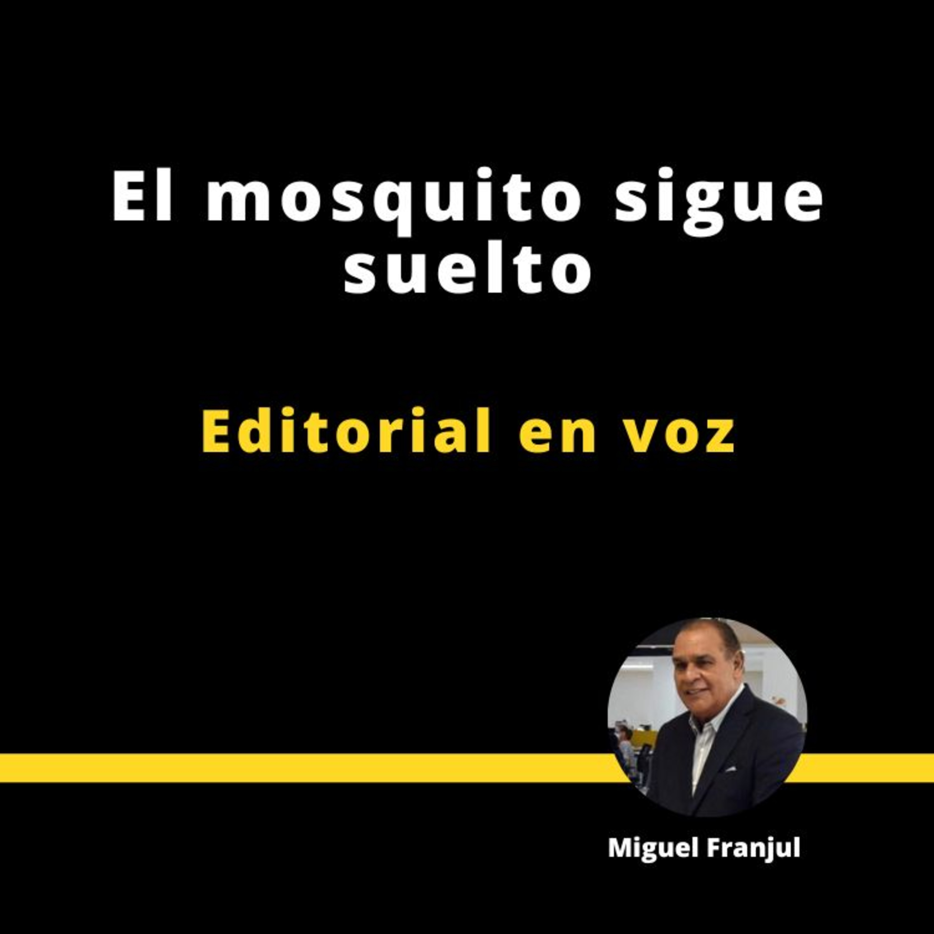 EL MOSQUITO SIGUE SUELTO episode artwork