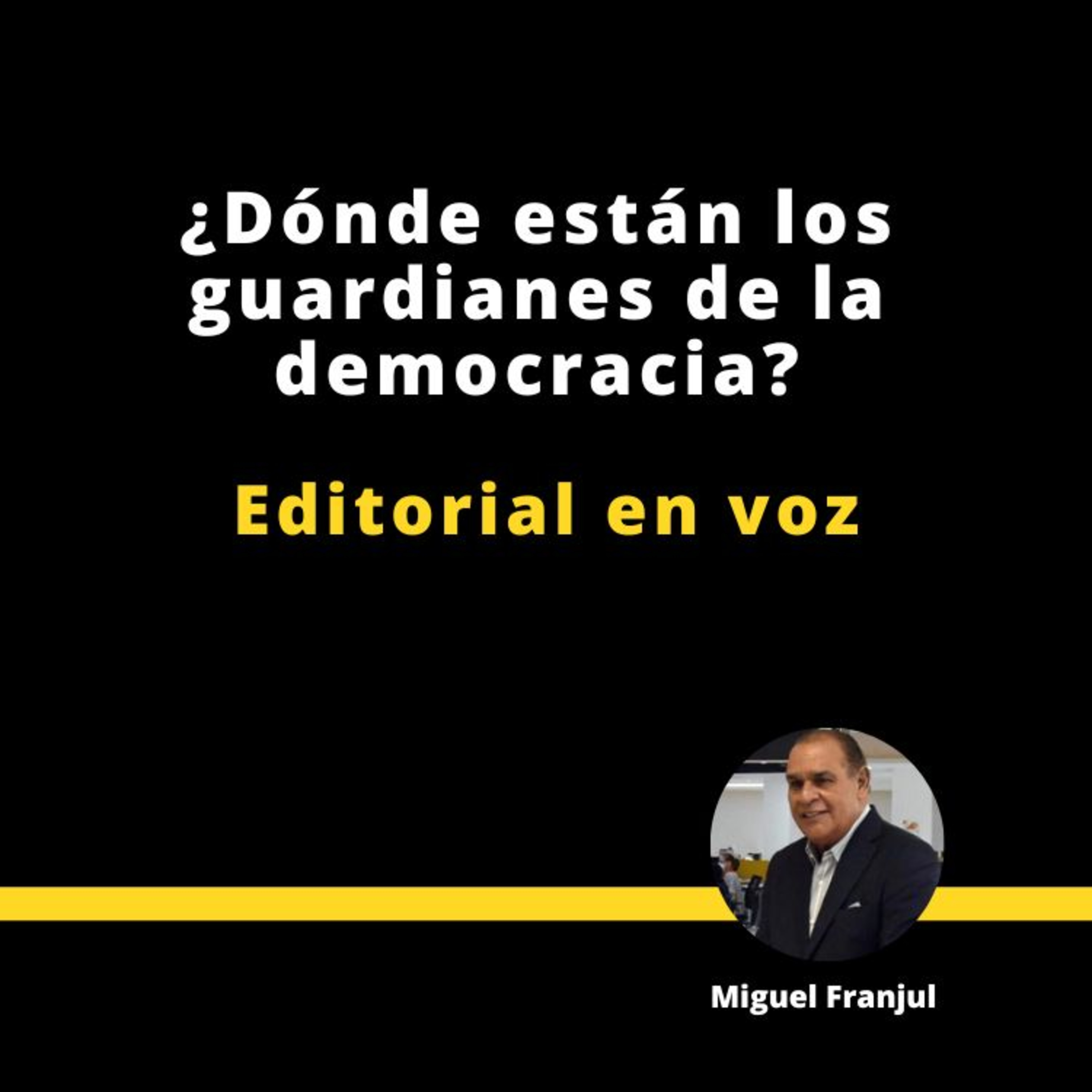 ¿DÓNDE ESTÁN LOS GUARDIANES DE LA DEMOCRACIA? episode artwork