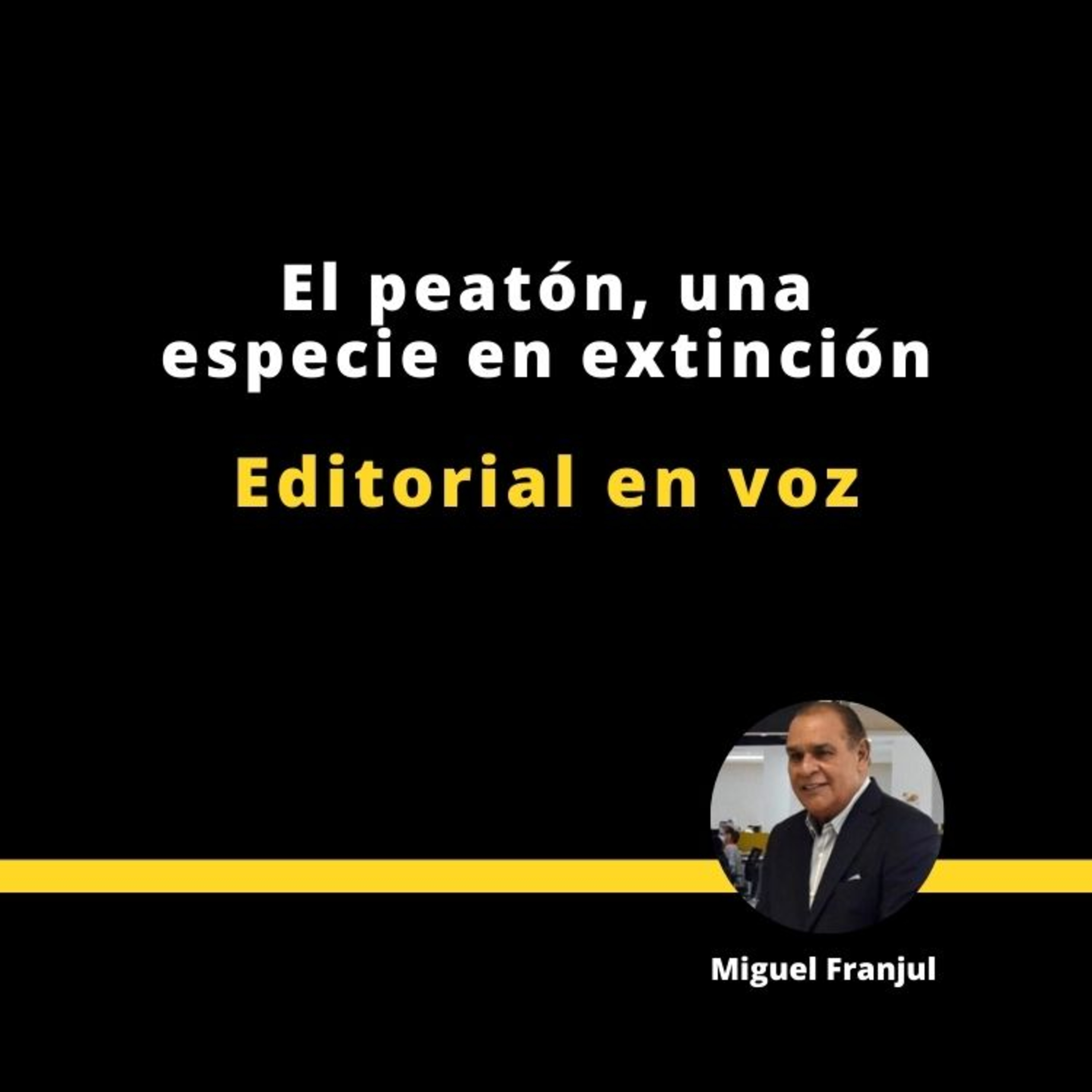 EL PEATÓN, UNA ESPECIE EN EXTINCIÓN episode artwork