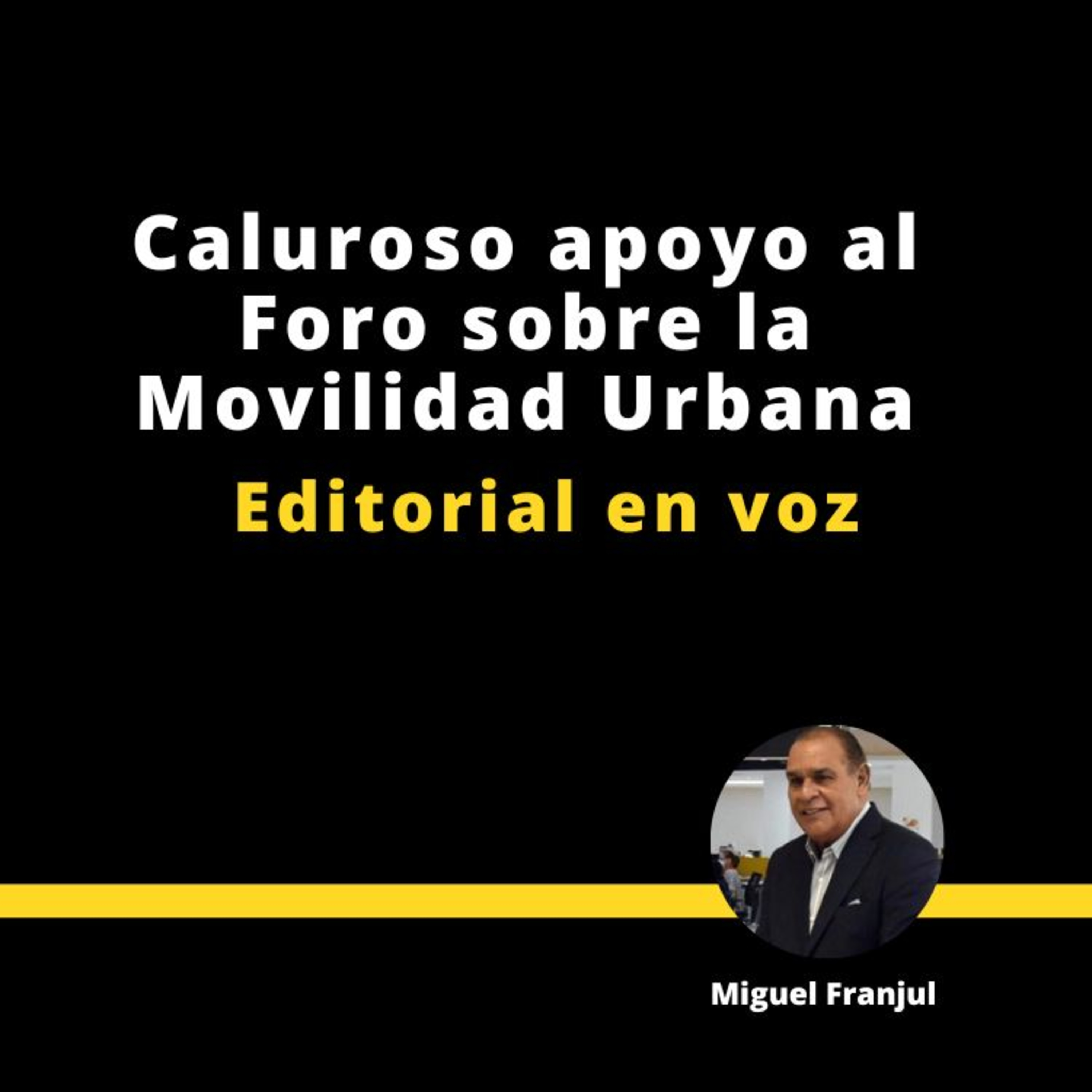 CALUROSO APOYO AL FORO SOBRE LA MOVILIDAD URBANA episode artwork