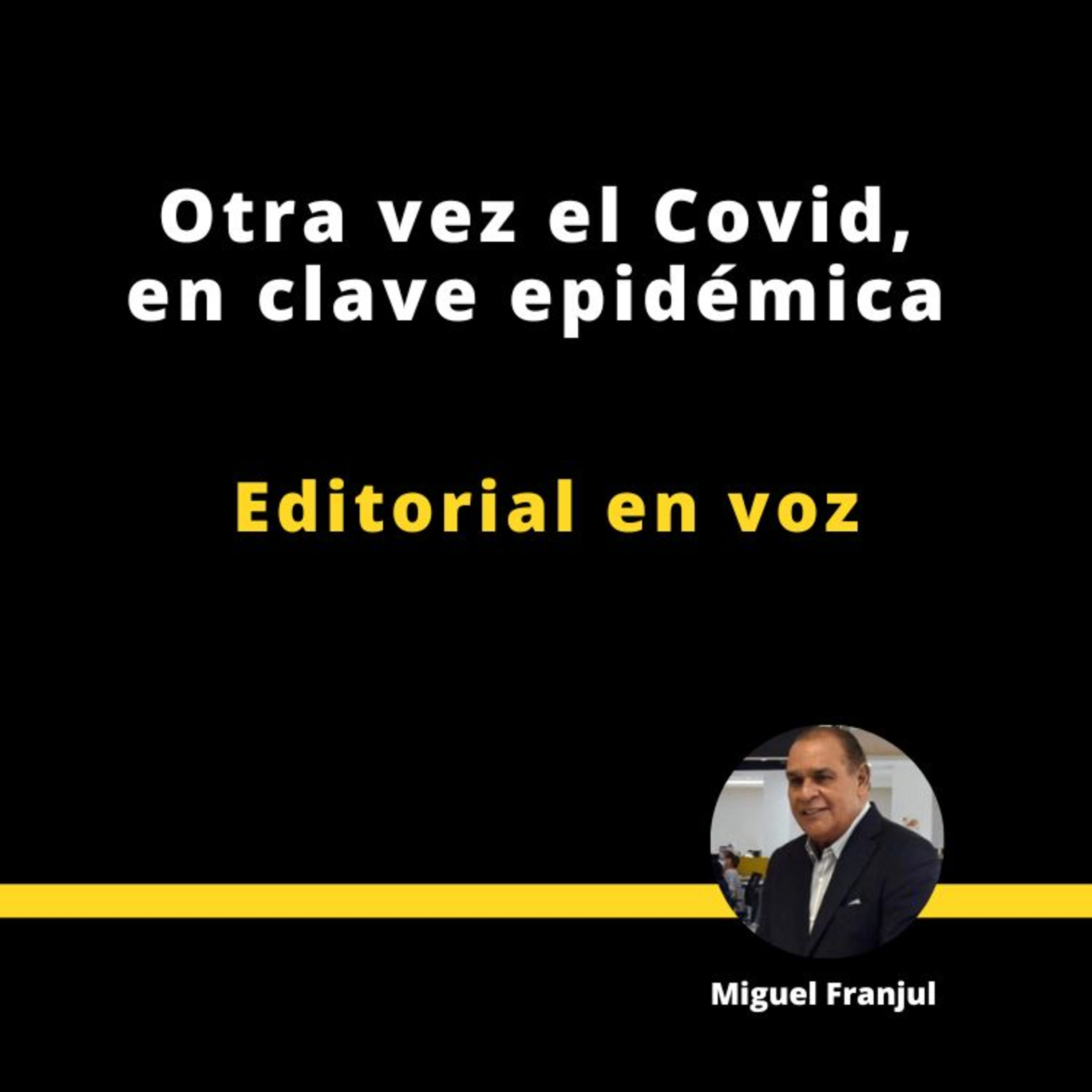 Otra vez el covid, en clave epidémica episode artwork
