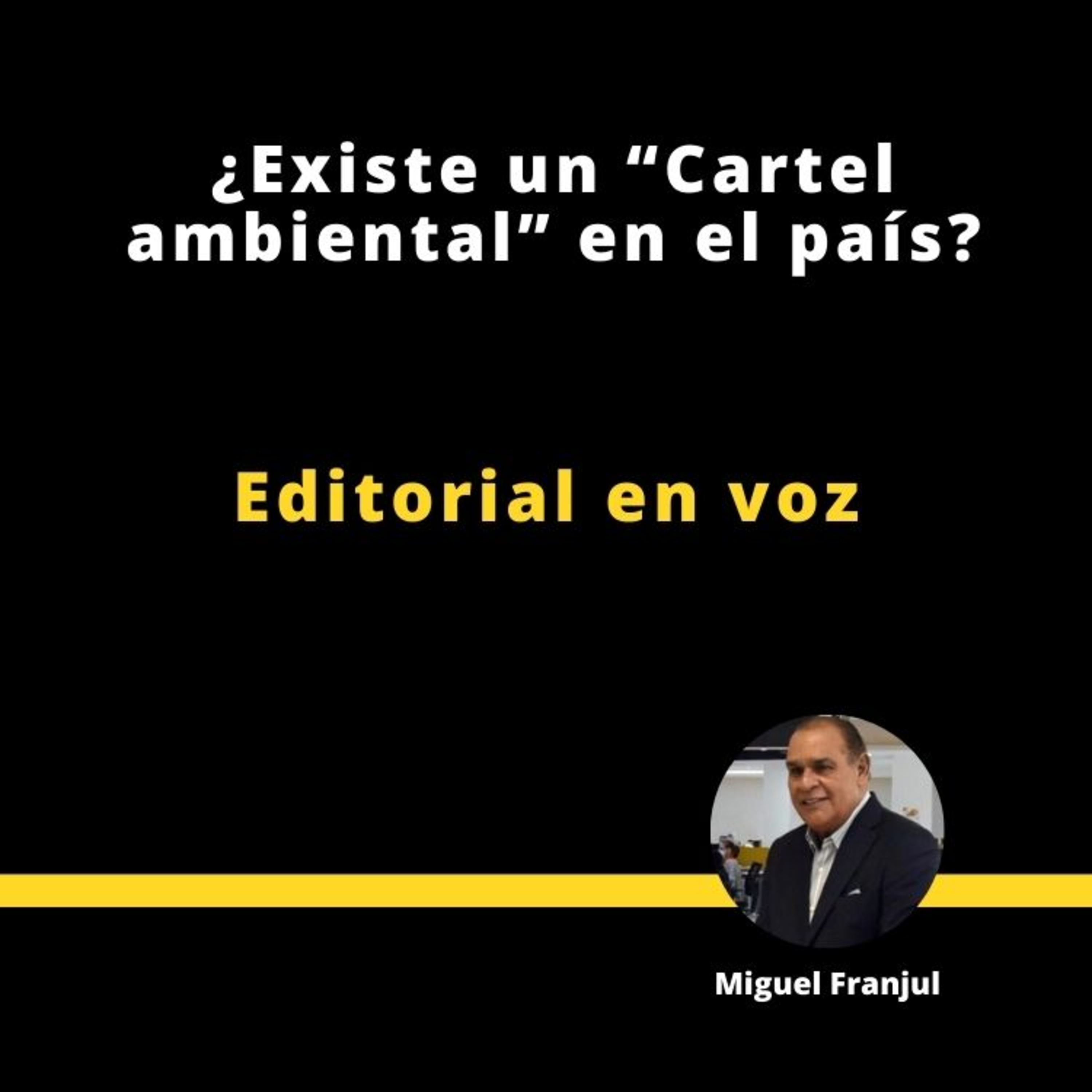  ¿Existe un "Cartel ambiental" en el país?  episode artwork