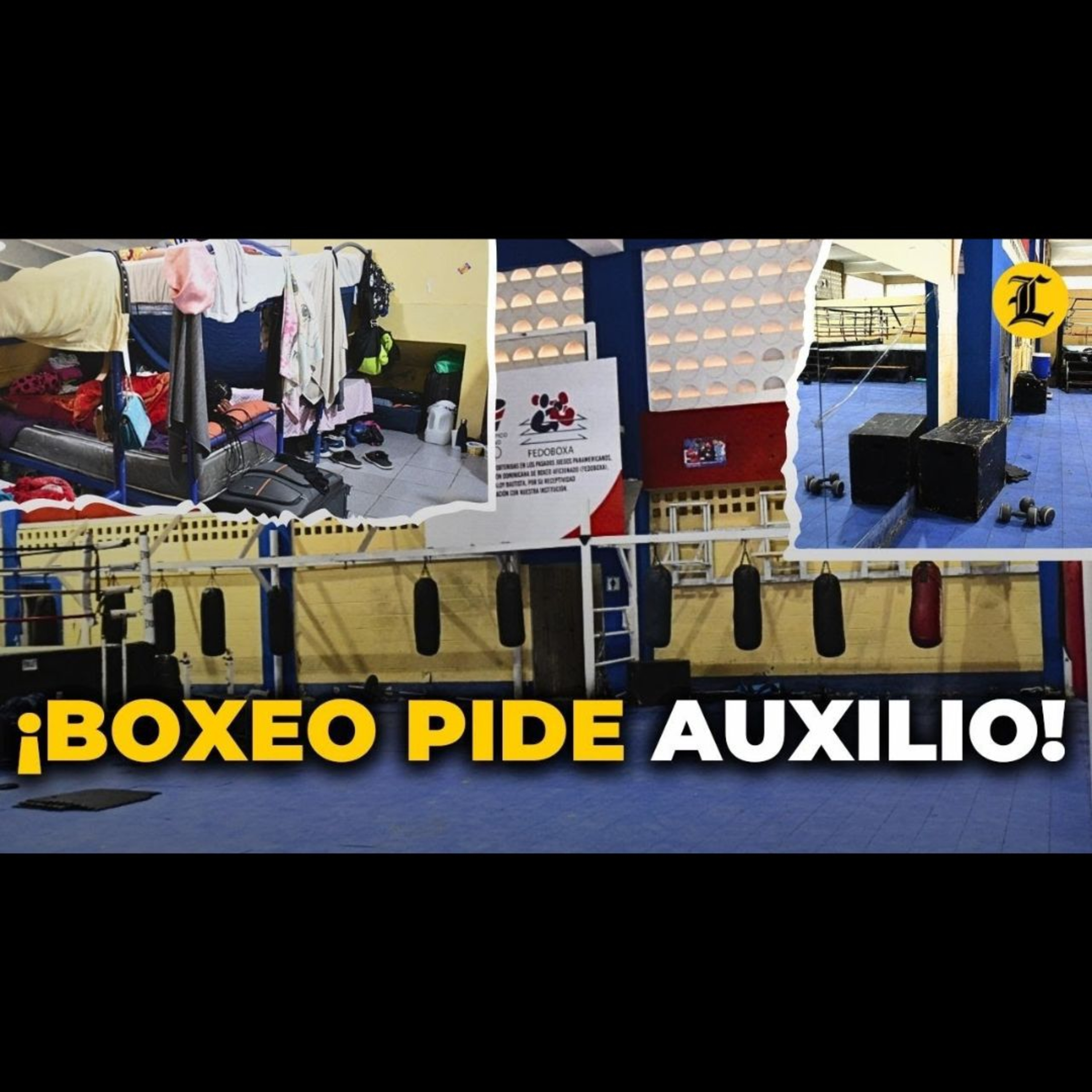 ¡No caben! Boxeo necesita construcción de su villa episode artwork