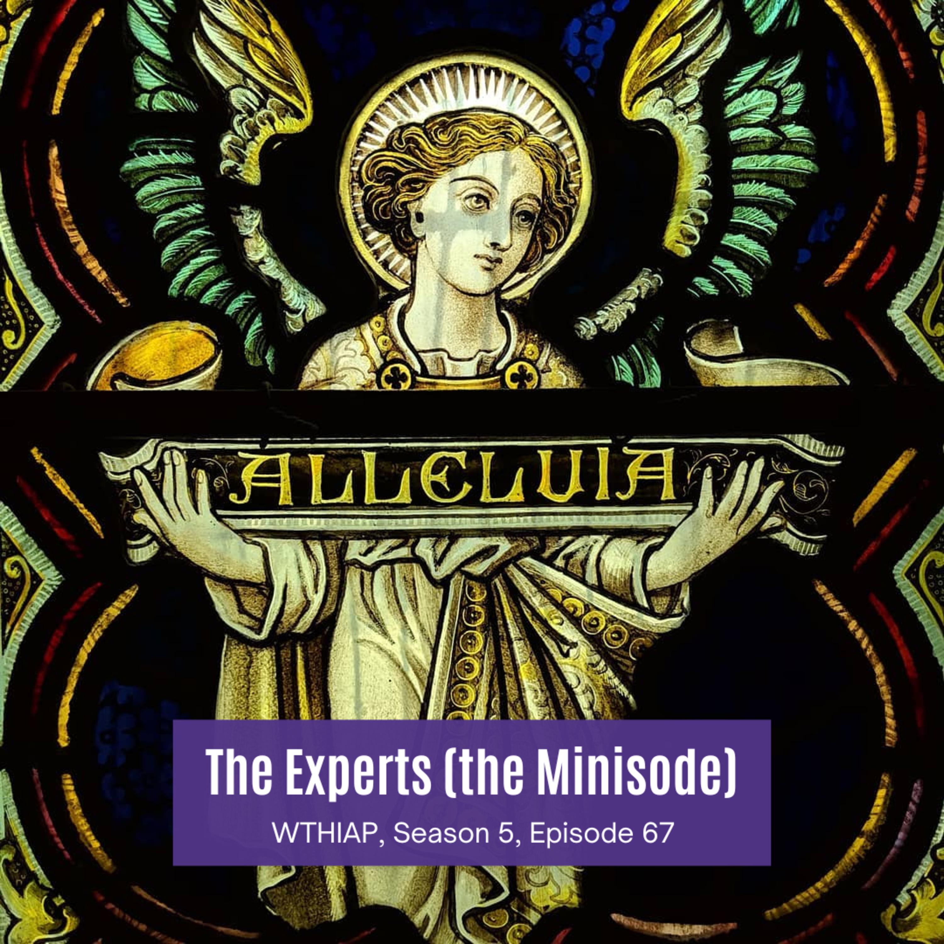 Minisode 166: The Experts: The Minisode episode artwork