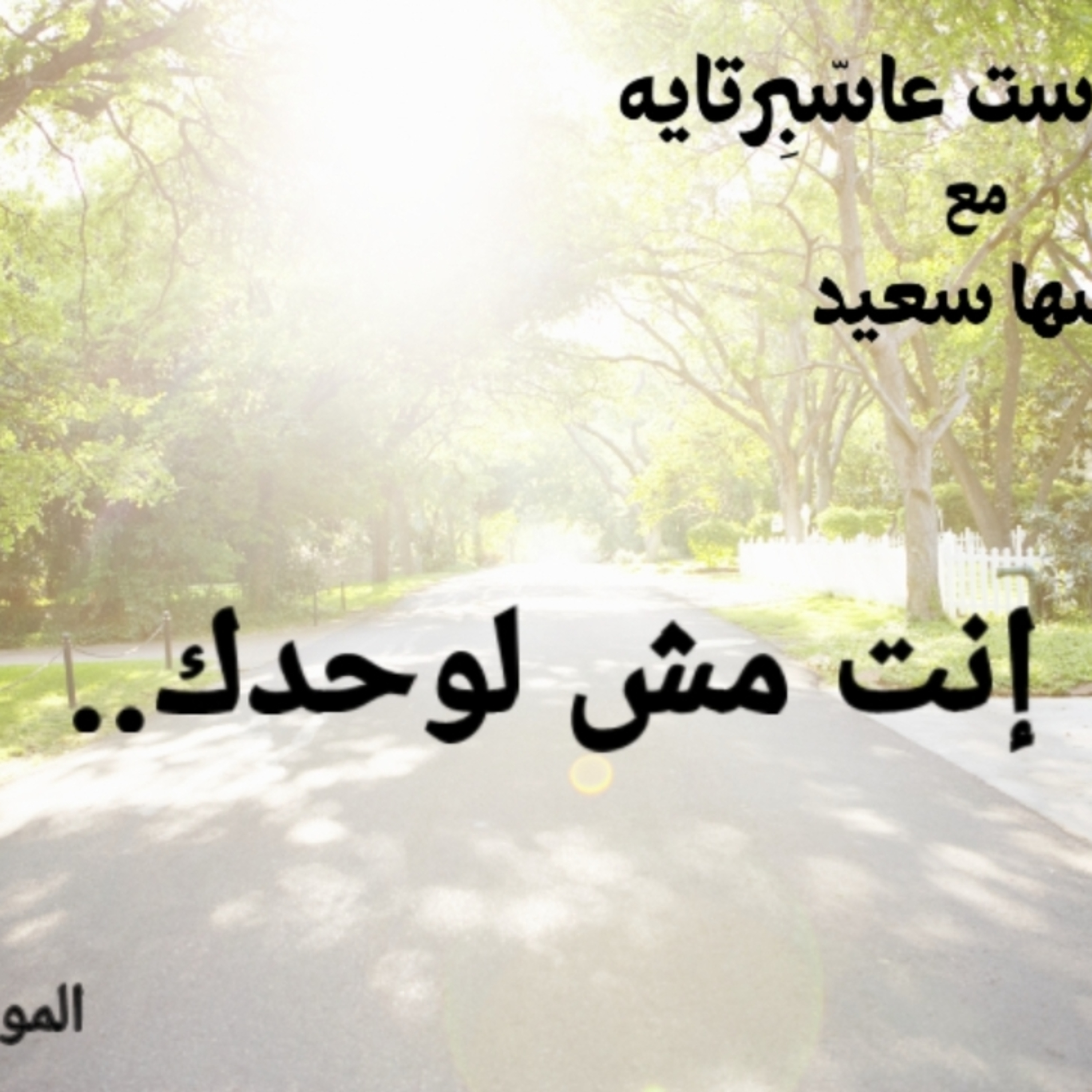 إنت مش لوحدك.. episode artwork