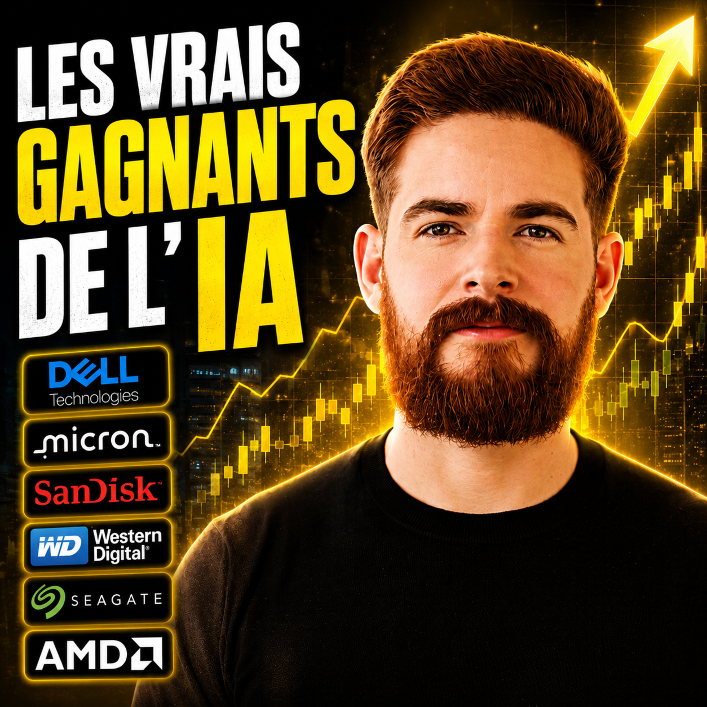333 - Les Investisseurs se Trompent Complètement sur l’IA