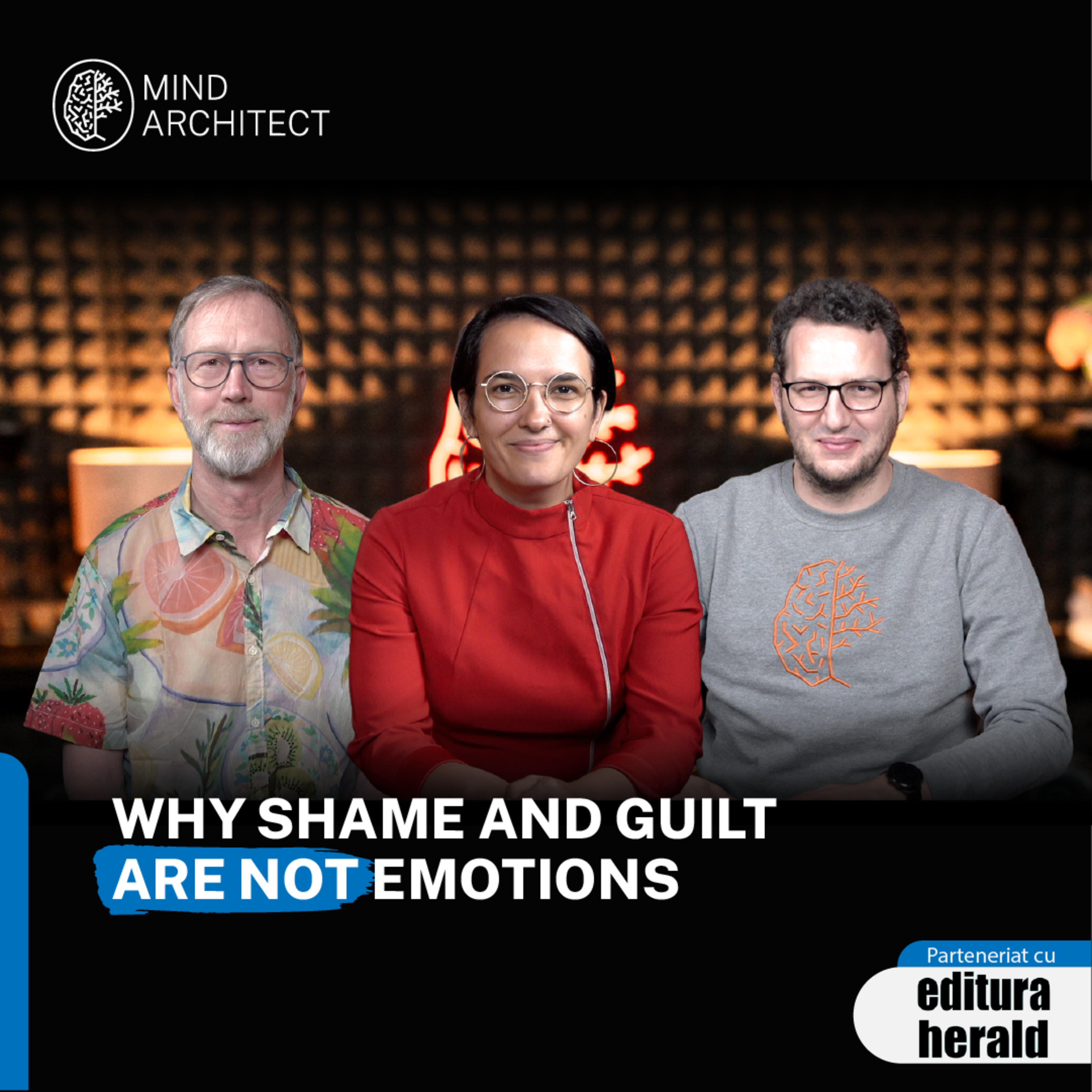 The 5 Survival Styles behind Chronic Shame and Guilt | Stephan Niederwieser & NARM episode artwork