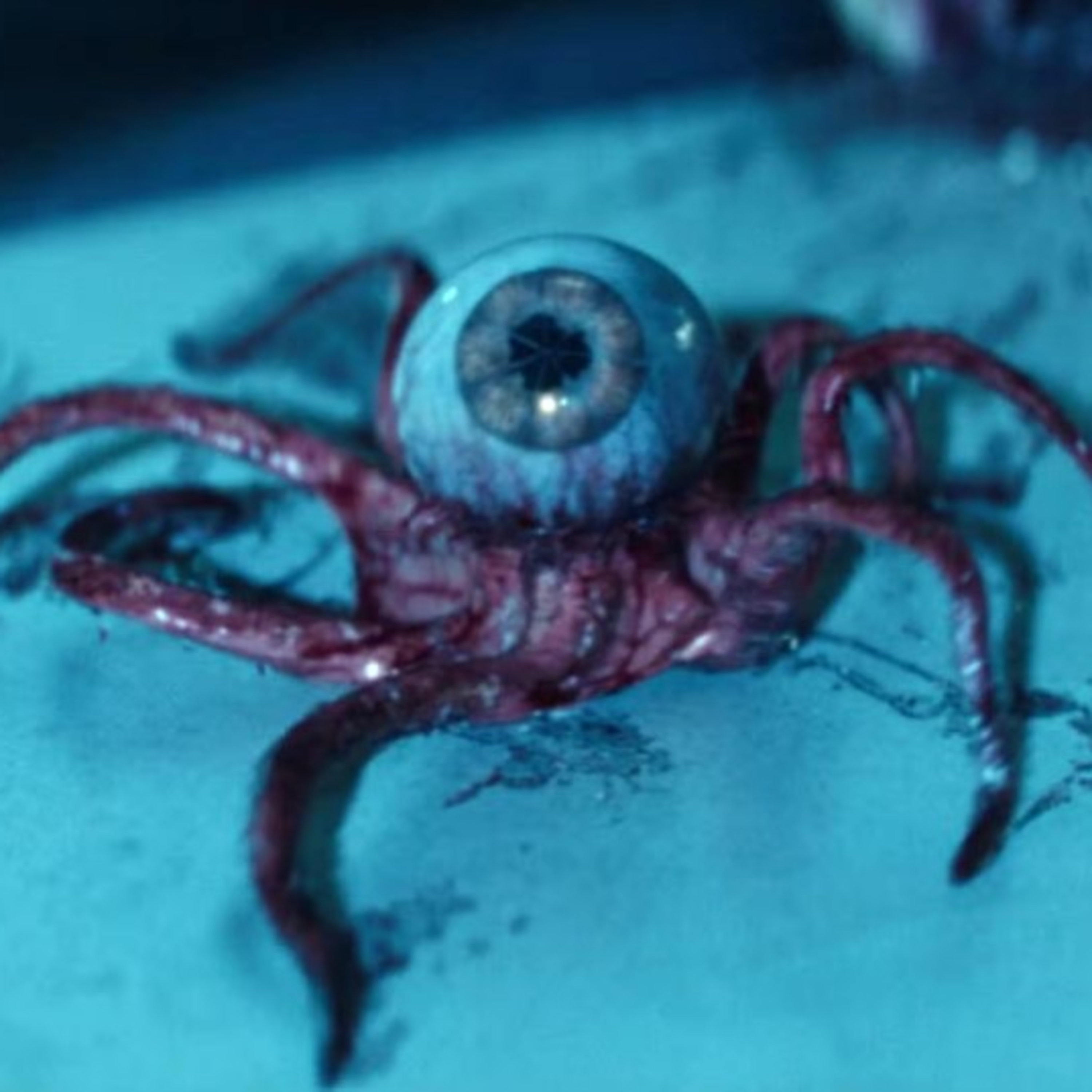 THE MOVIE DOJO PODCAST