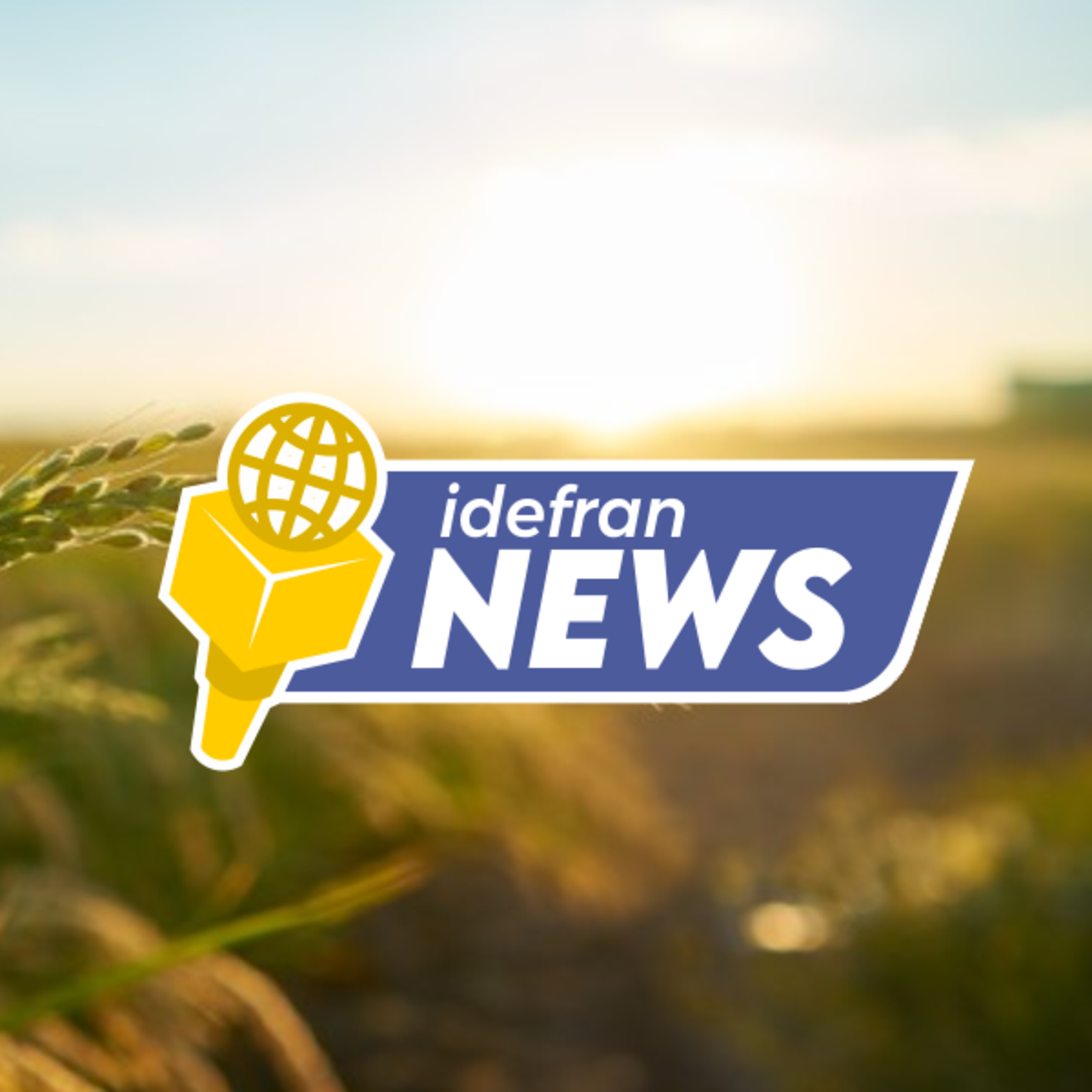 Rádio Idefran - O Amor está no Ar!