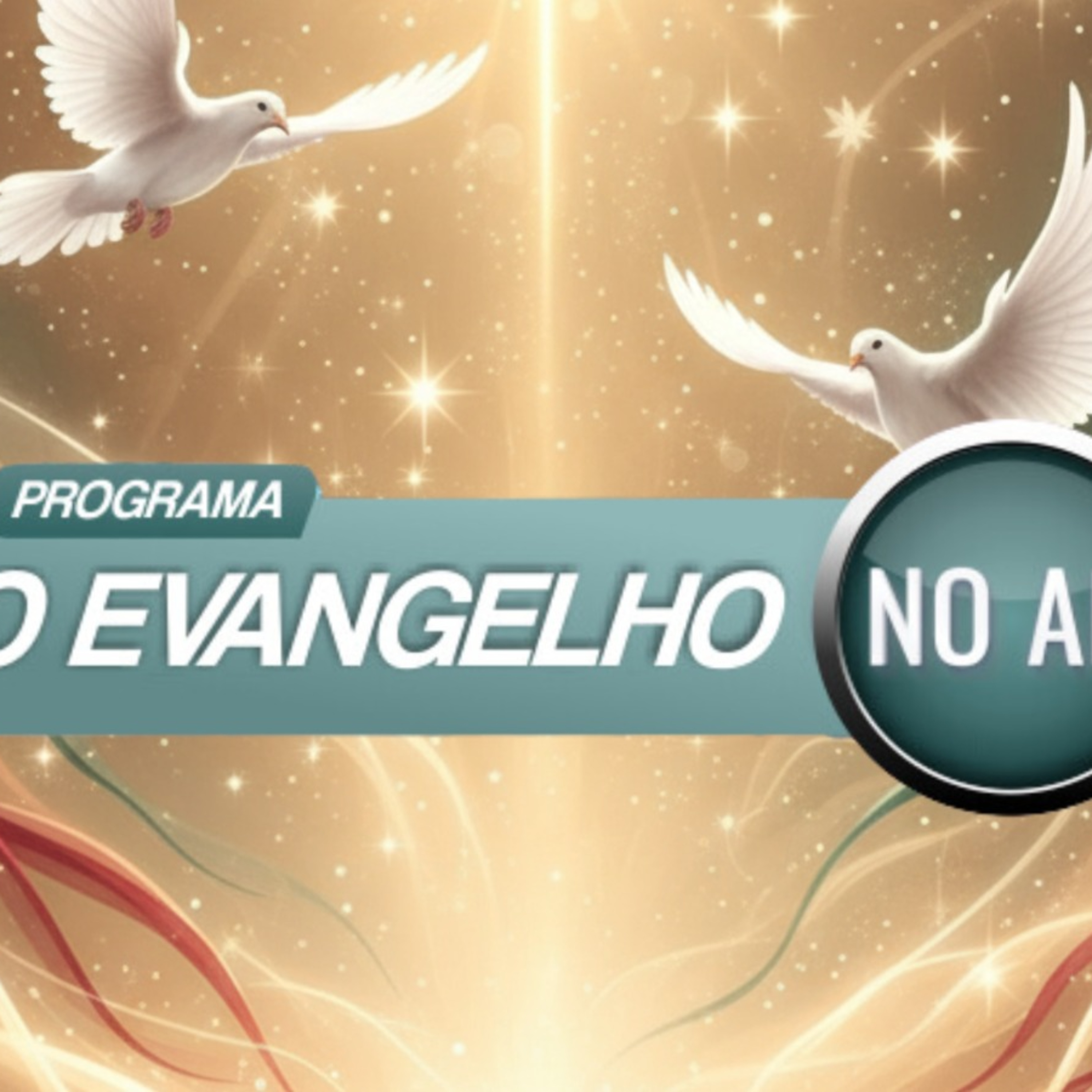 O EVANGELHO NO AR - O Evangelho Segundo o Espiritismo - PROGRAMA OFICIAL 263 29-11-2025 episode artwork