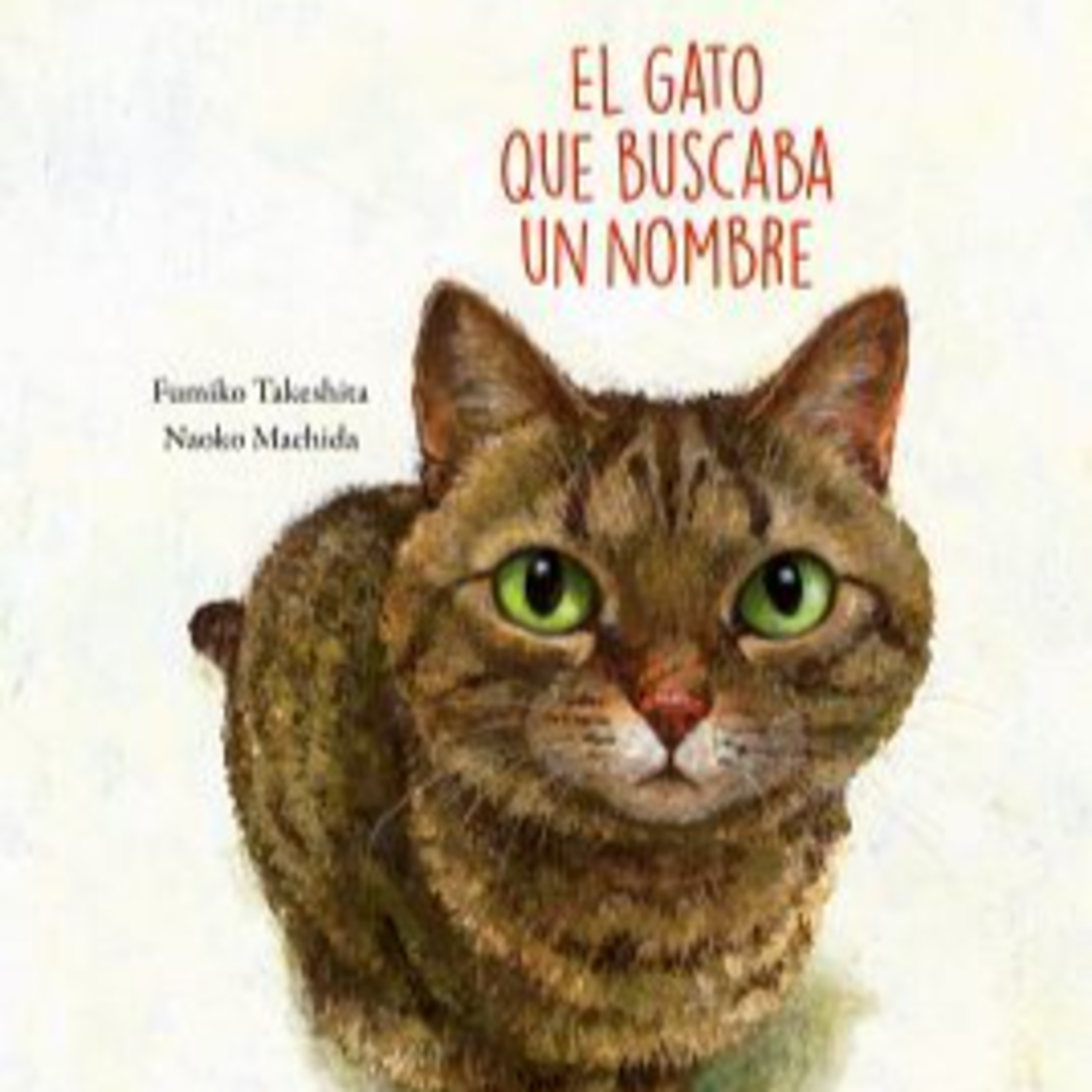 El gato que buscaba un nombre