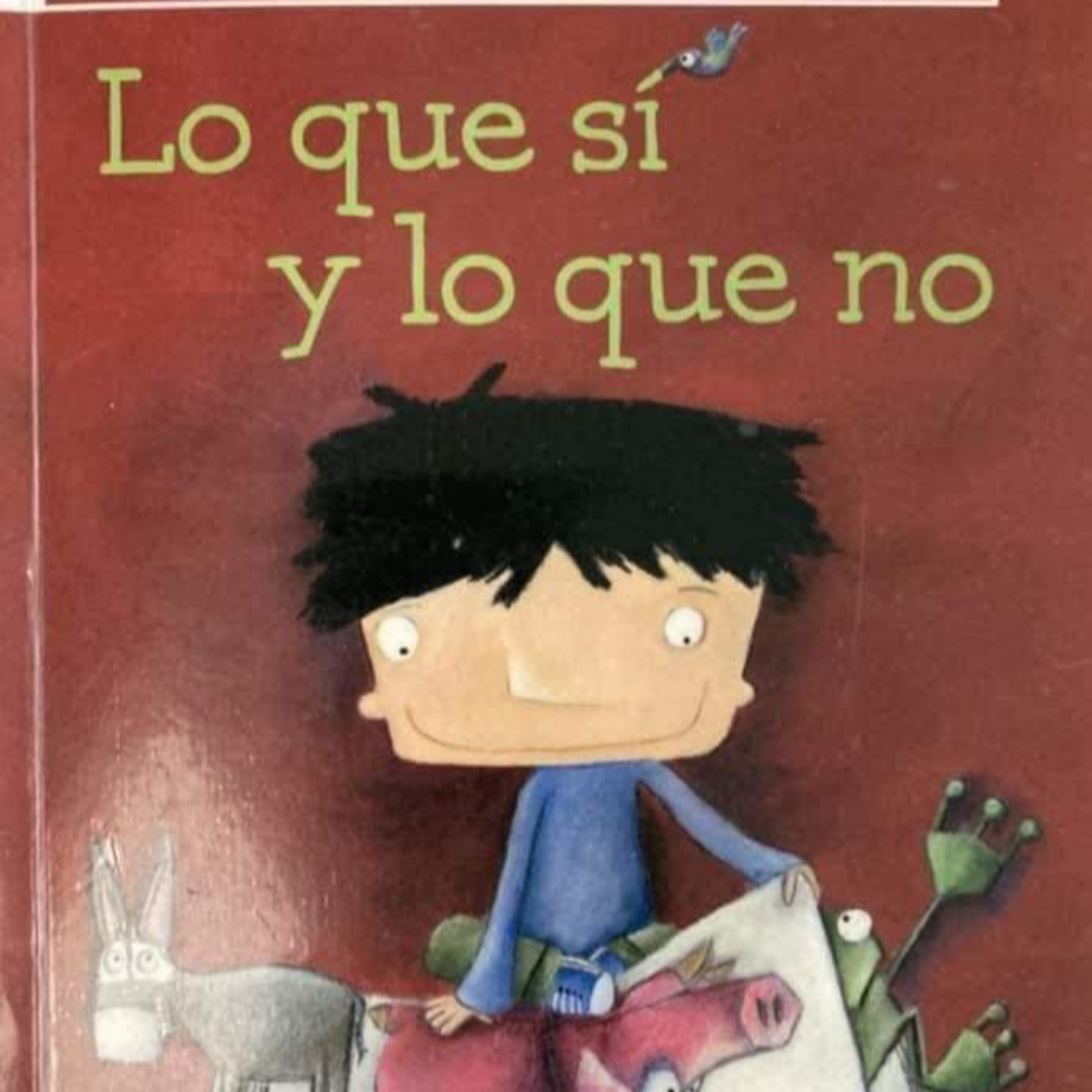 Lo que si y lo que no.