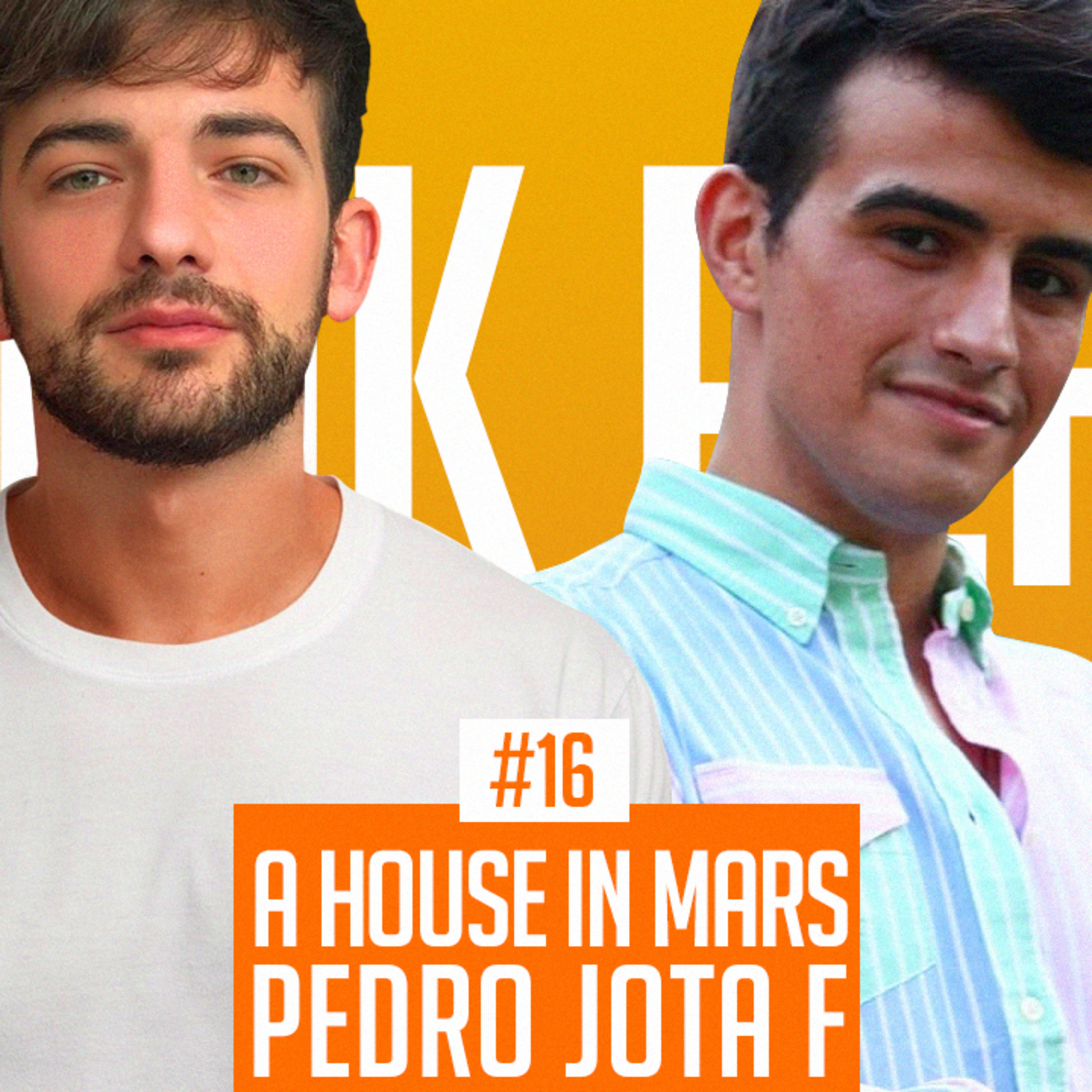 A HOUSE IN MARS