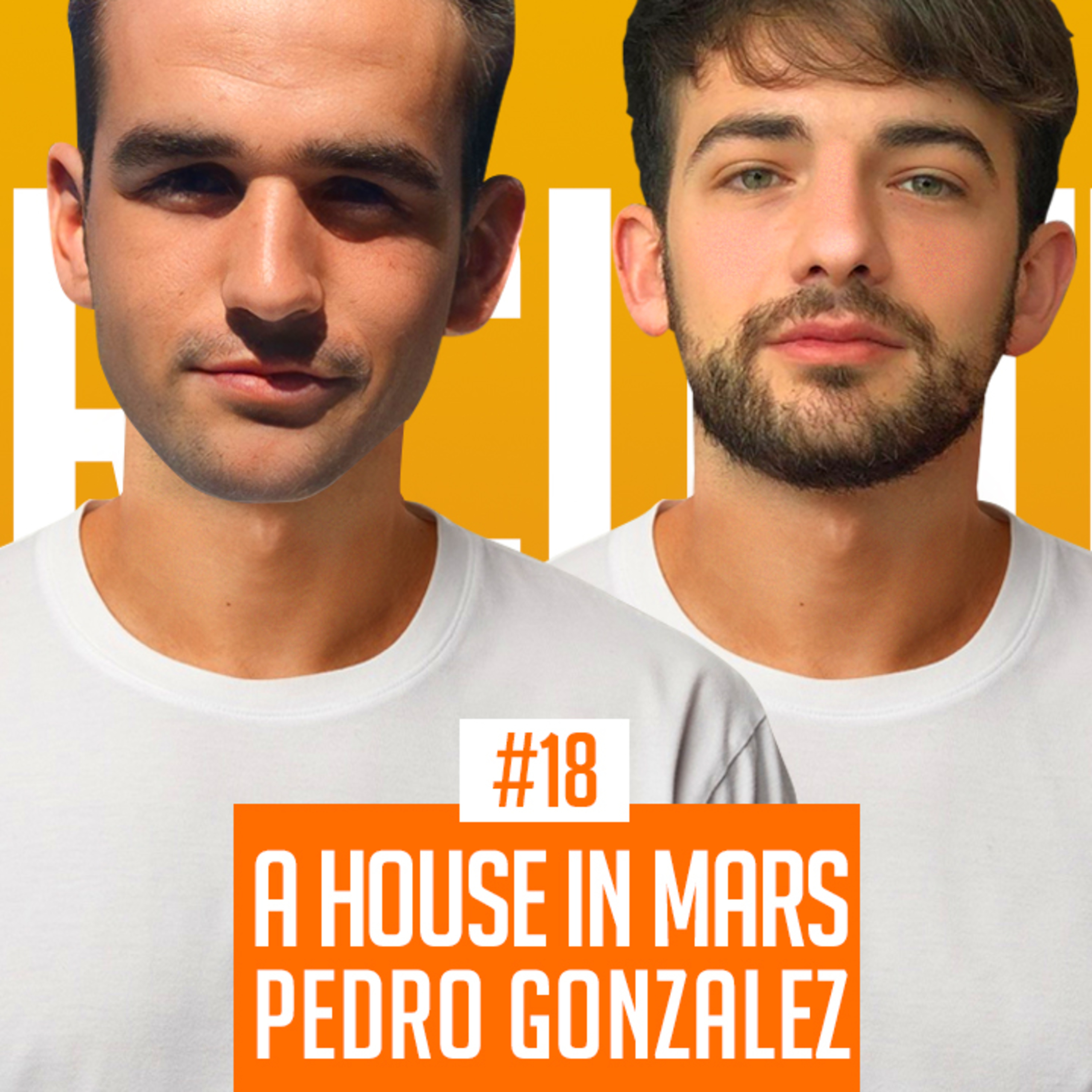 A HOUSE IN MARS