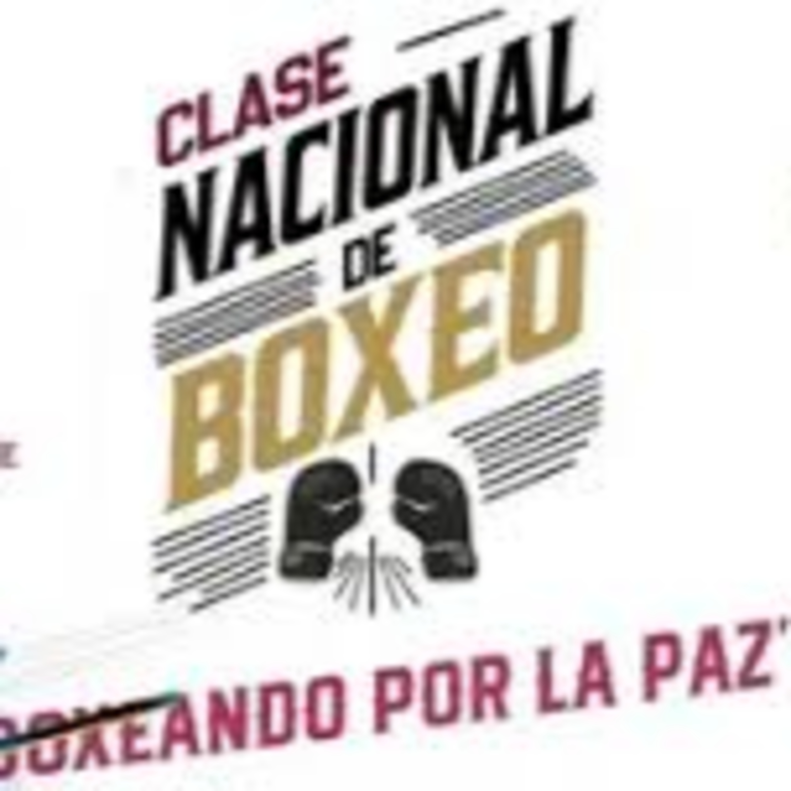 Portada de losaficionados.deportes