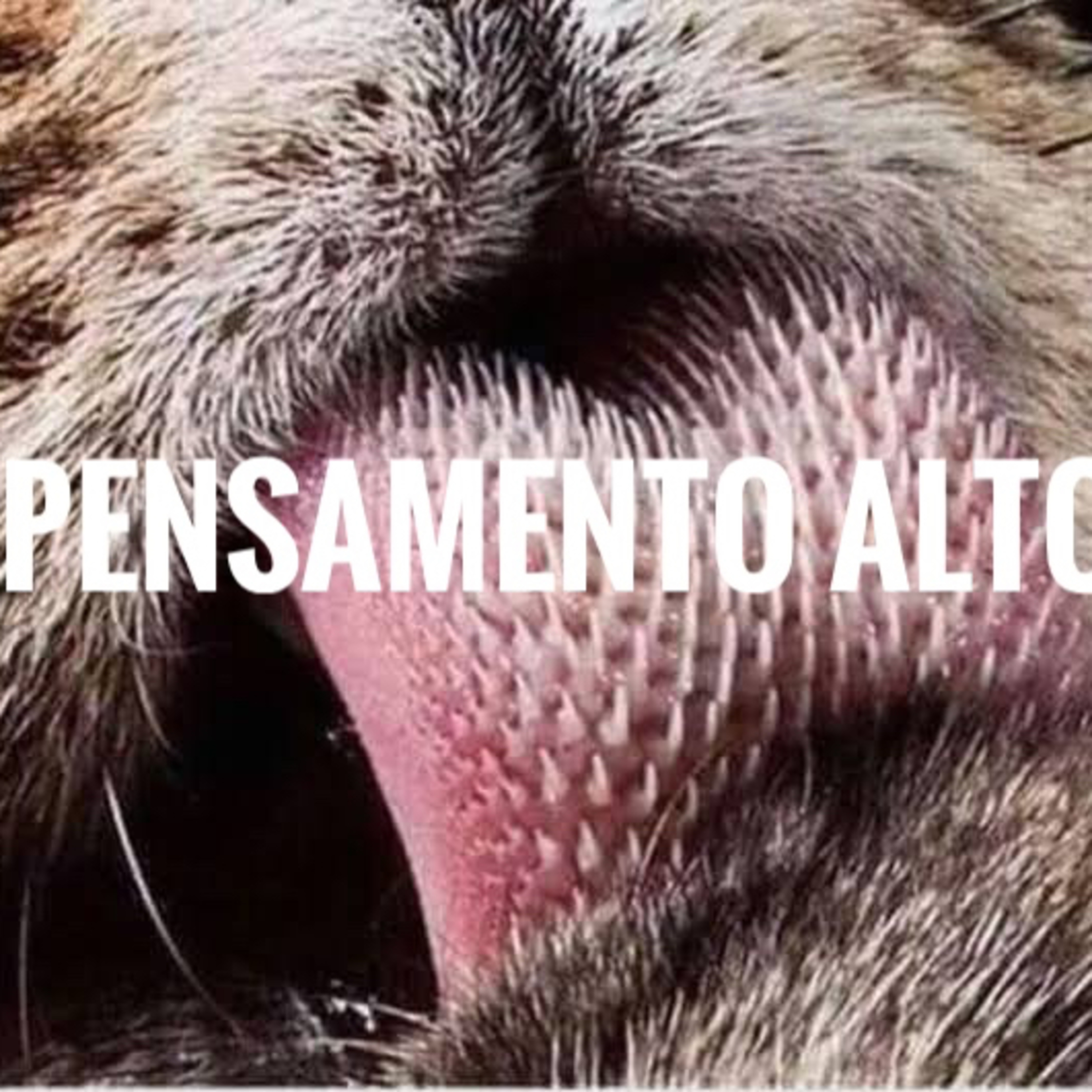 Invenções repetidas