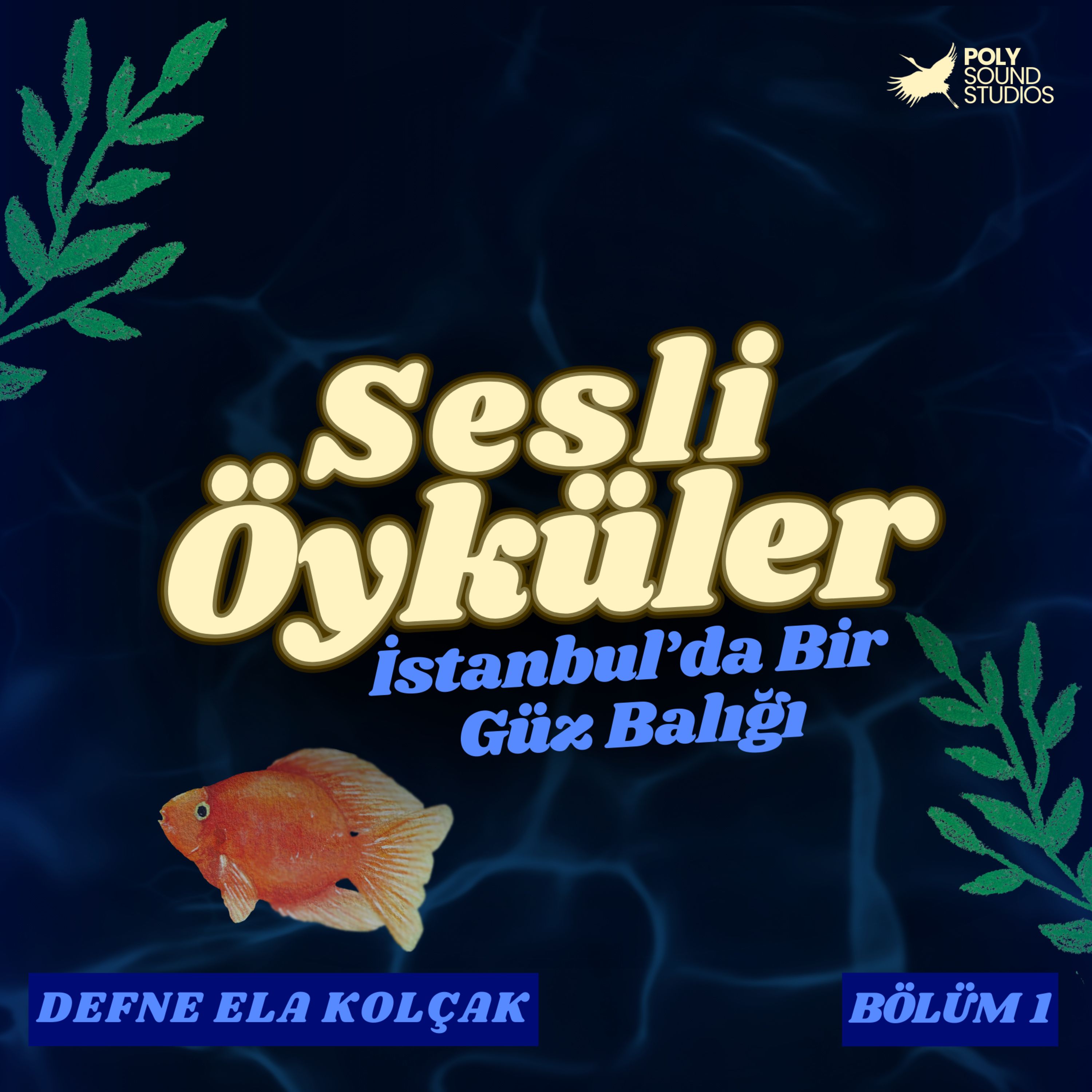 Poly Sesli Öyküler