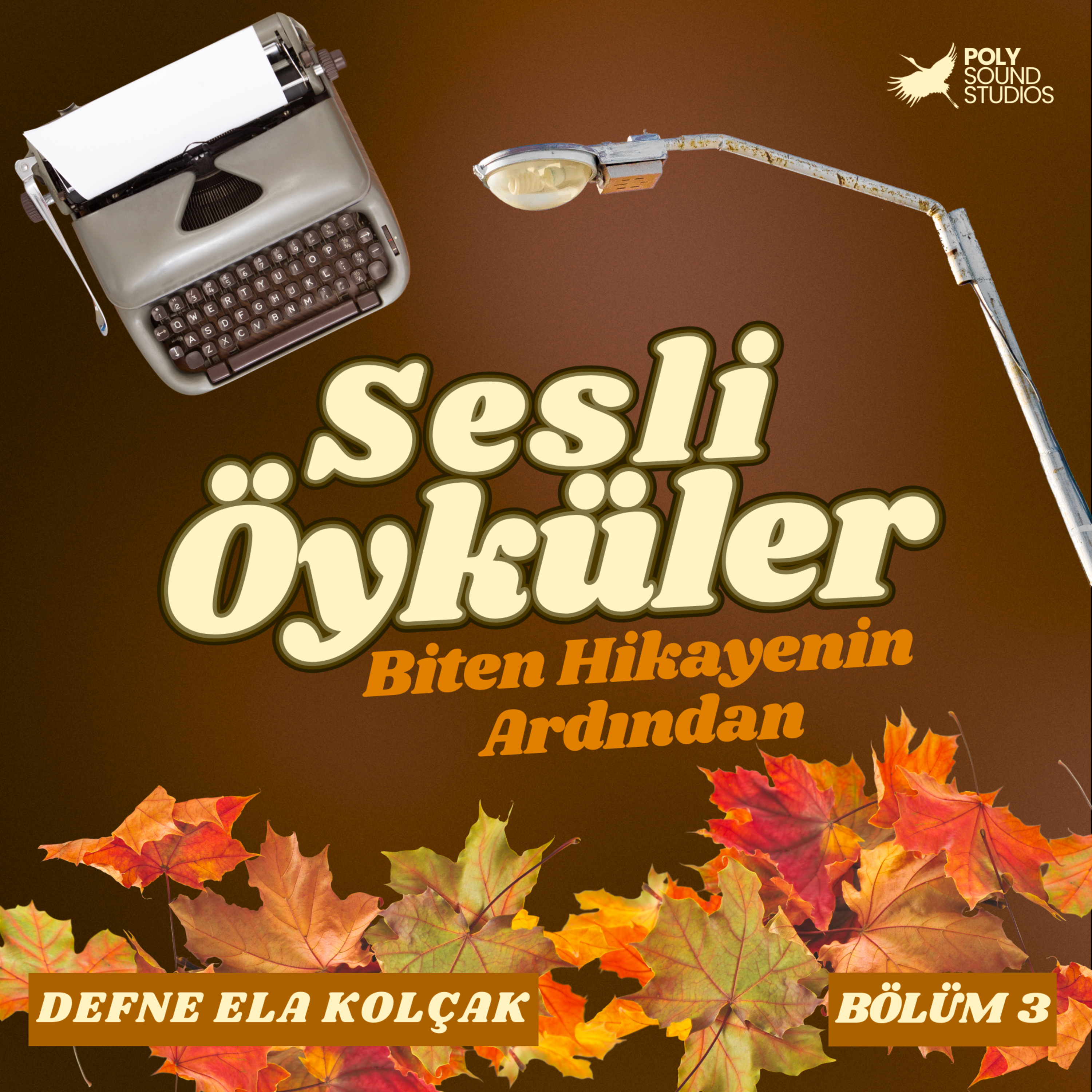 Poly Sesli Öyküler