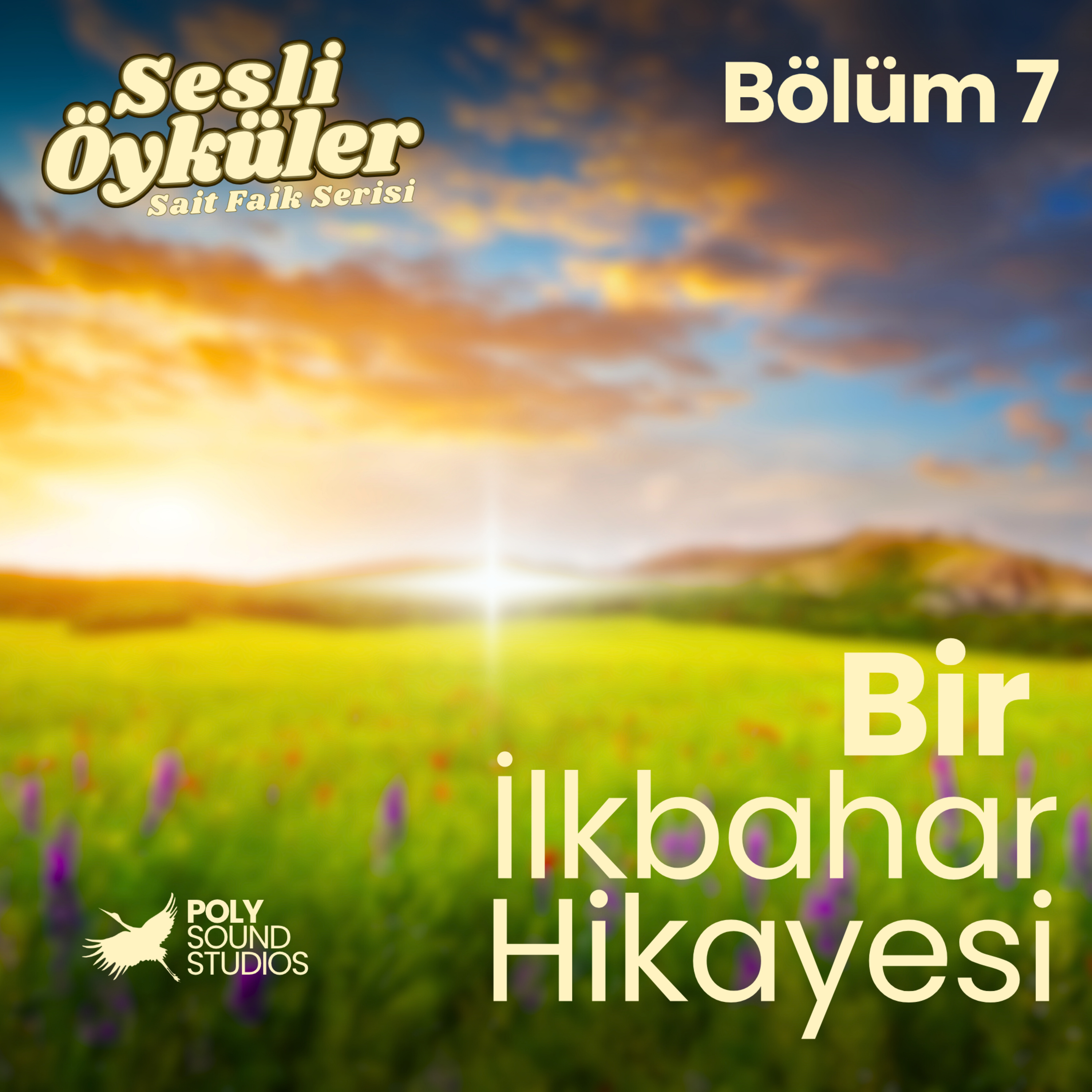 Poly Sesli Öyküler