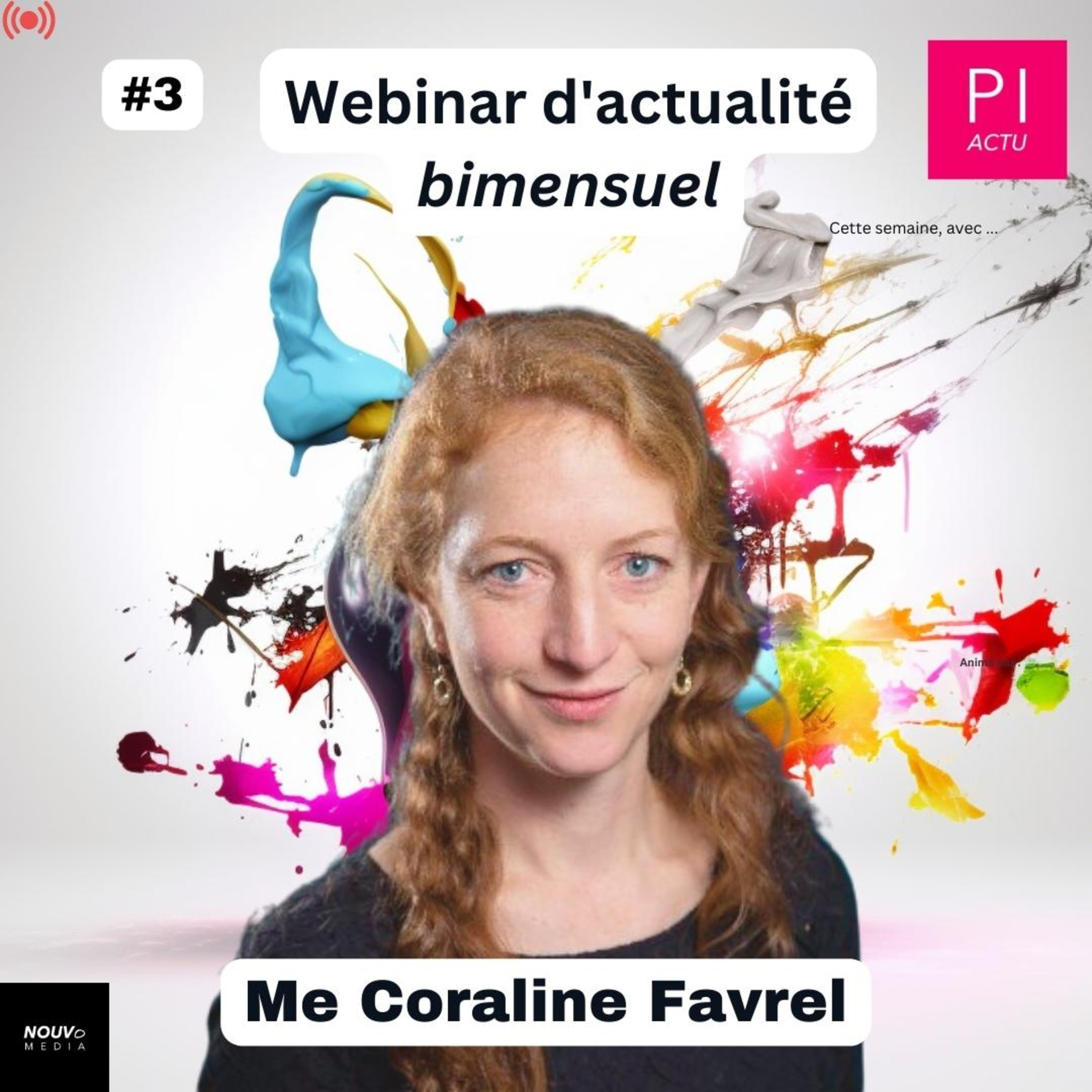 Pi Actu (actualité de la propriété intellectuelle)