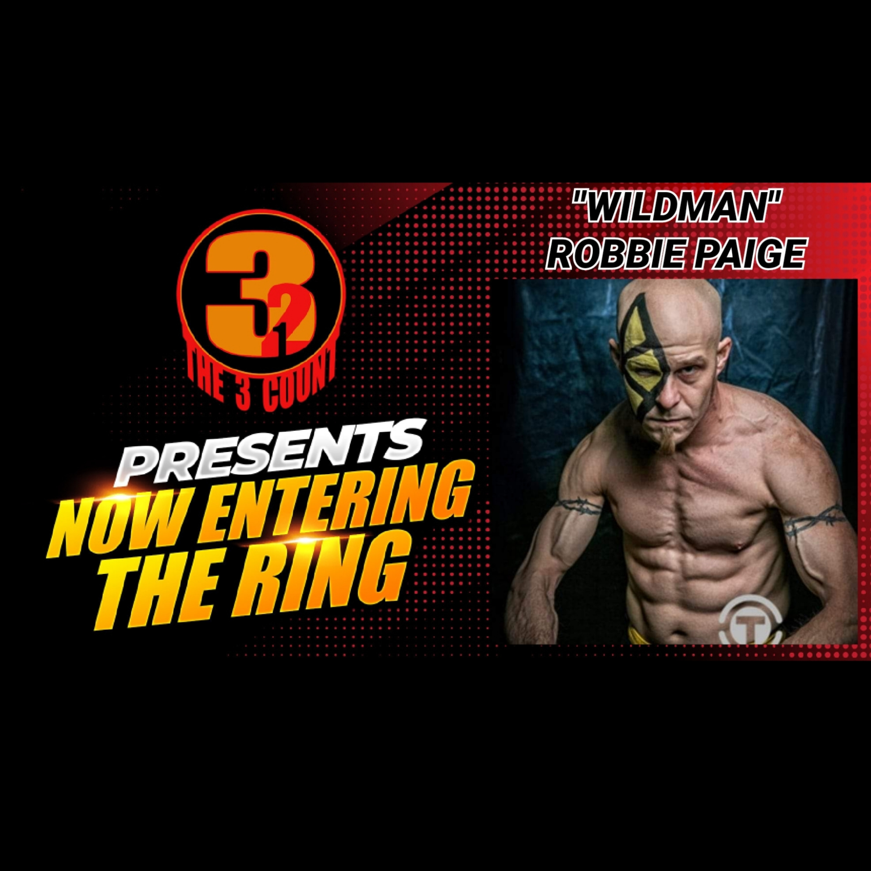 ROBBIE PAIGE IS NOW ENTERING THE RING  episode artwork
