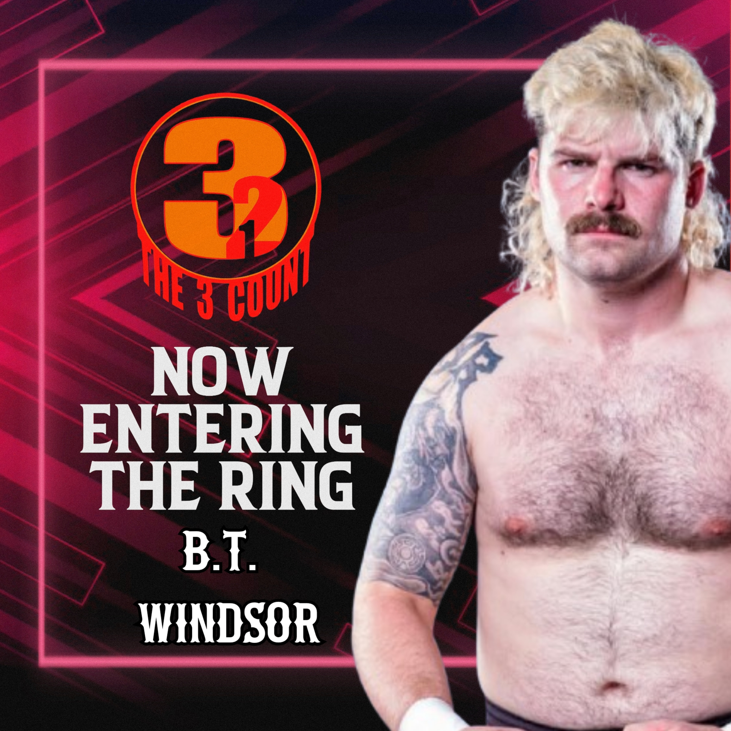 B.T. WINDSOR IS NOW ENTERING THE RING  episode artwork