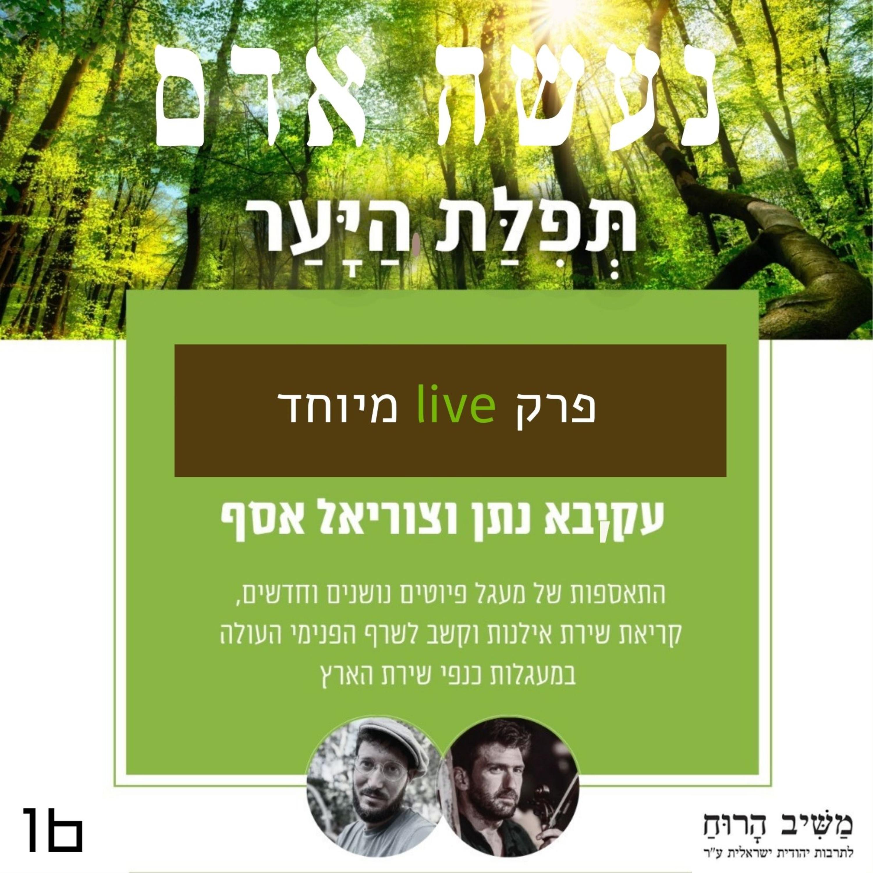 פרק 16 - תפילת היער episode artwork
