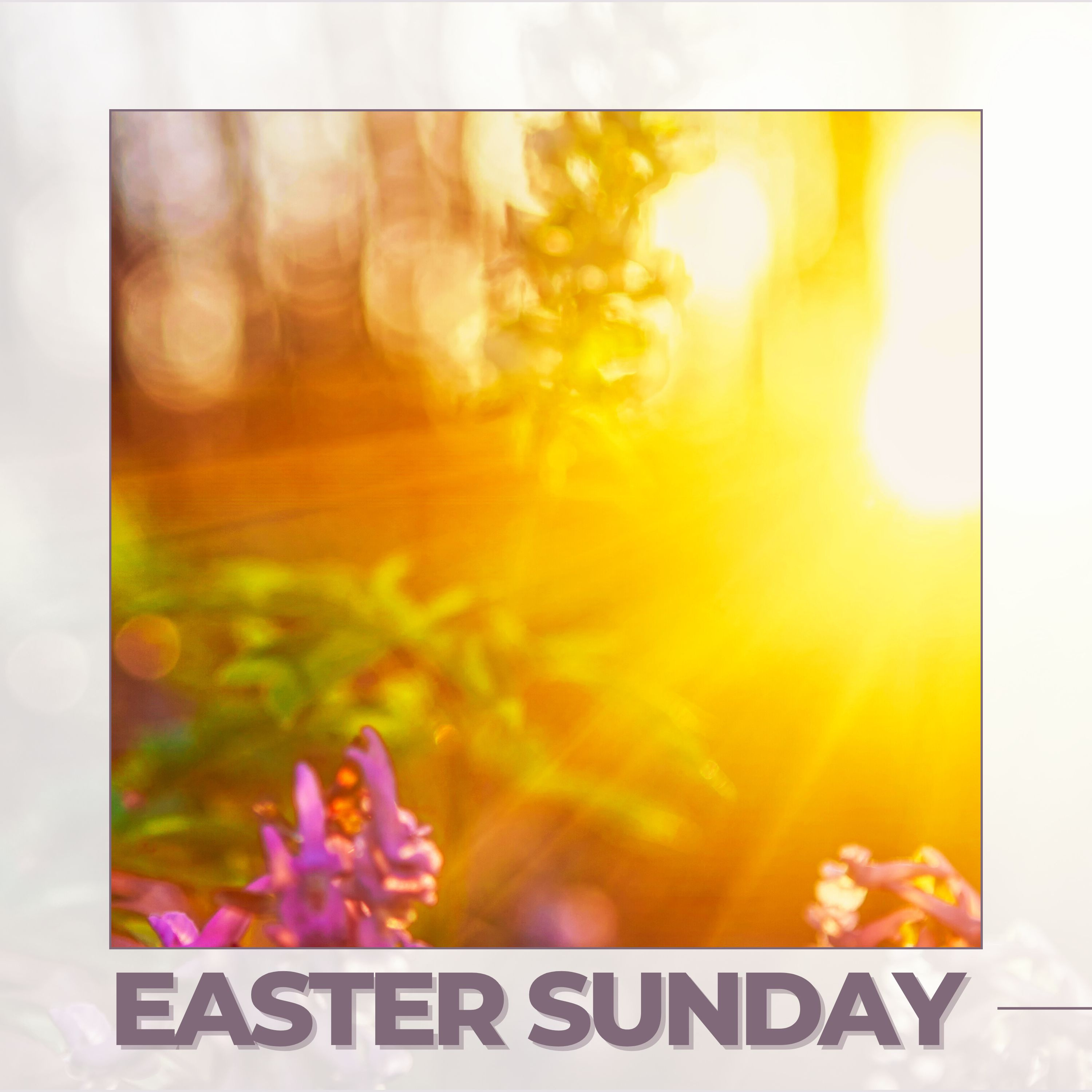 Is John Telling the Truth? | John 20:1-18 (April 17, 2025 - Easter Sunday)