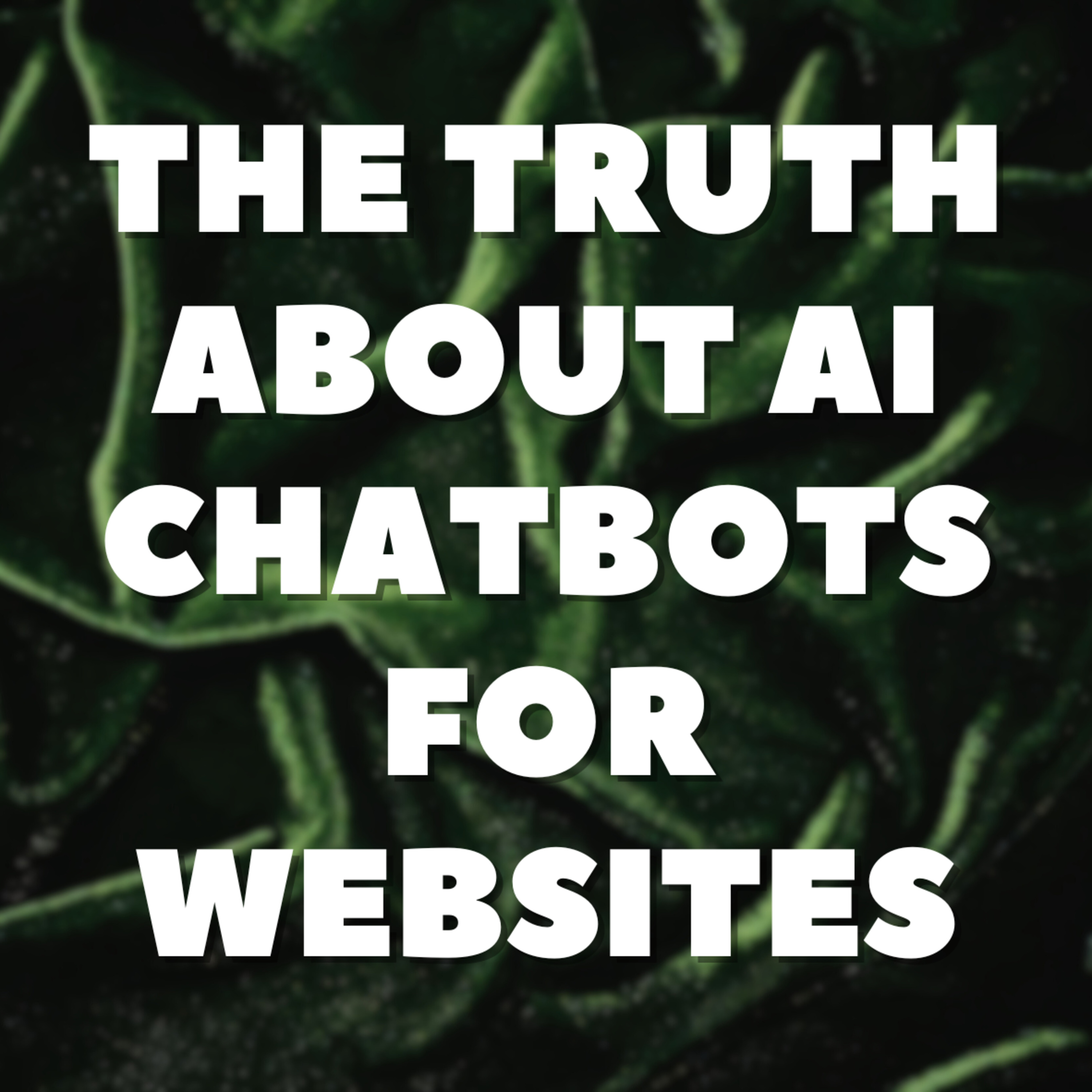 The Truth About AI Chatbots for Websites episode artwork