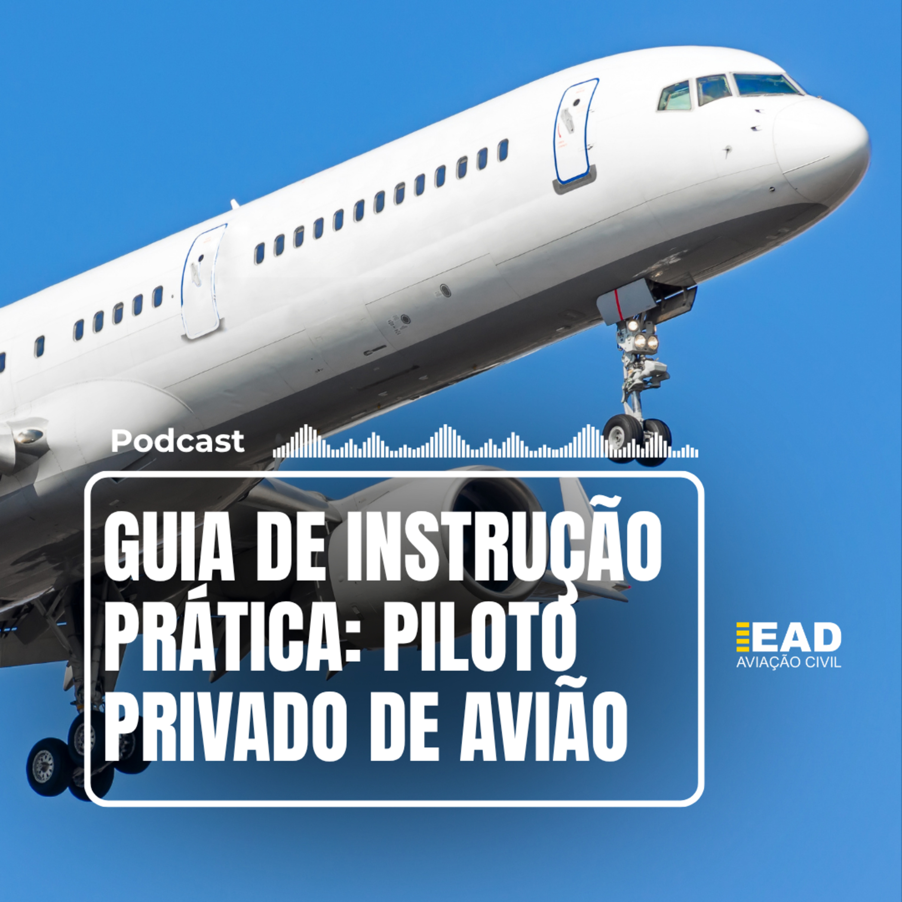 GUIA DE INSTRUÇÃO PRÁTICA episode artwork