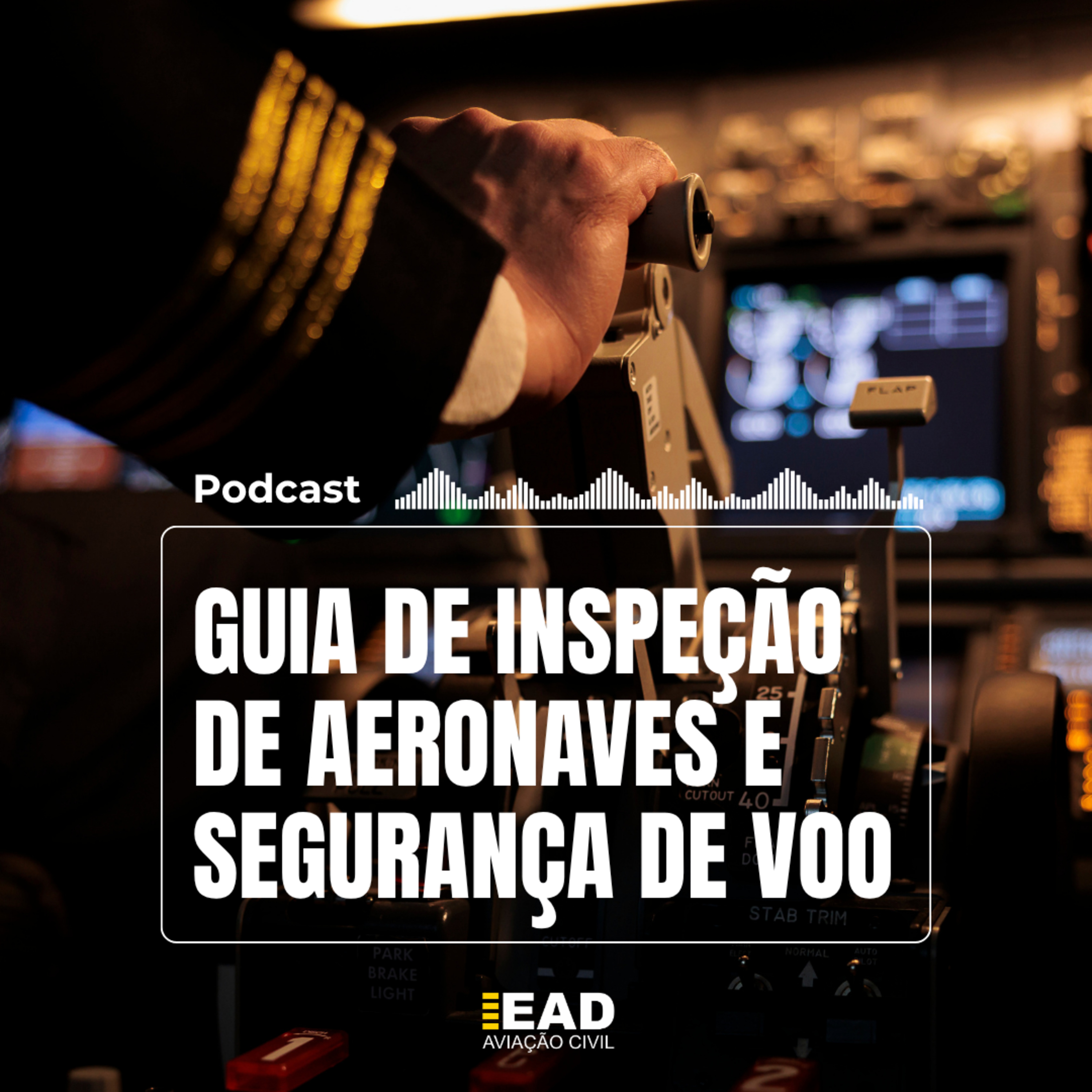 GUIA DE INSPEÇÃO DE AERONAVES E INSPEÇÃO DE VOO episode artwork