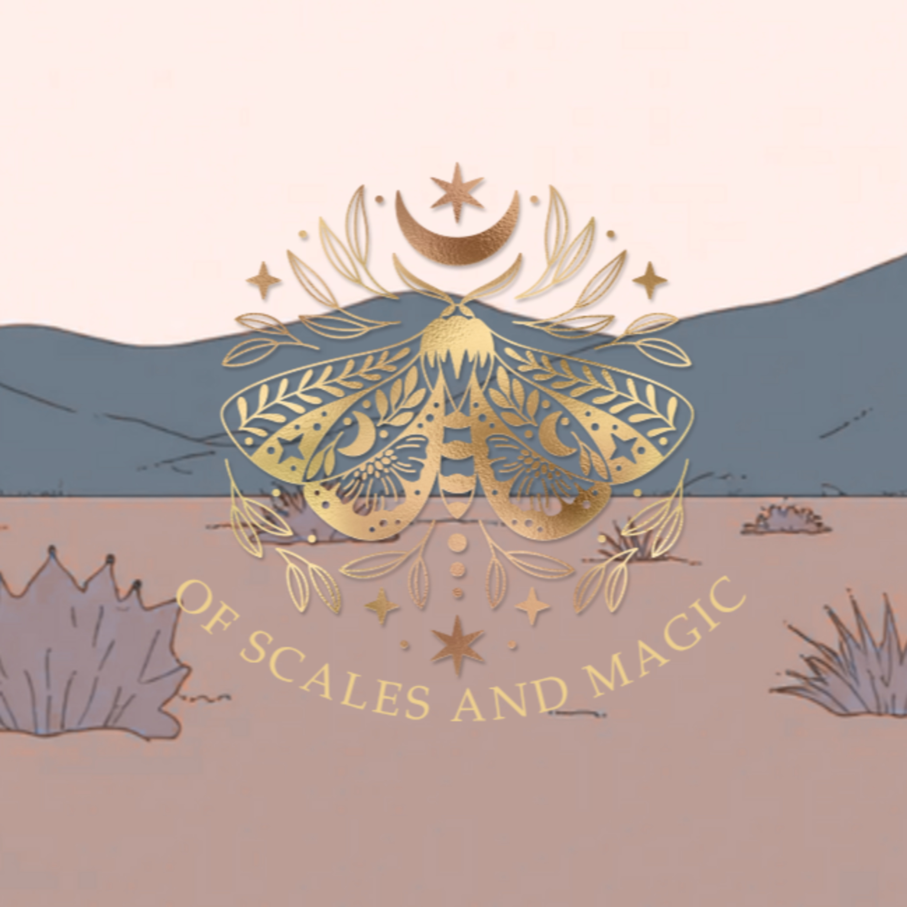OSM: #010 - Oops all Cameras episode artwork