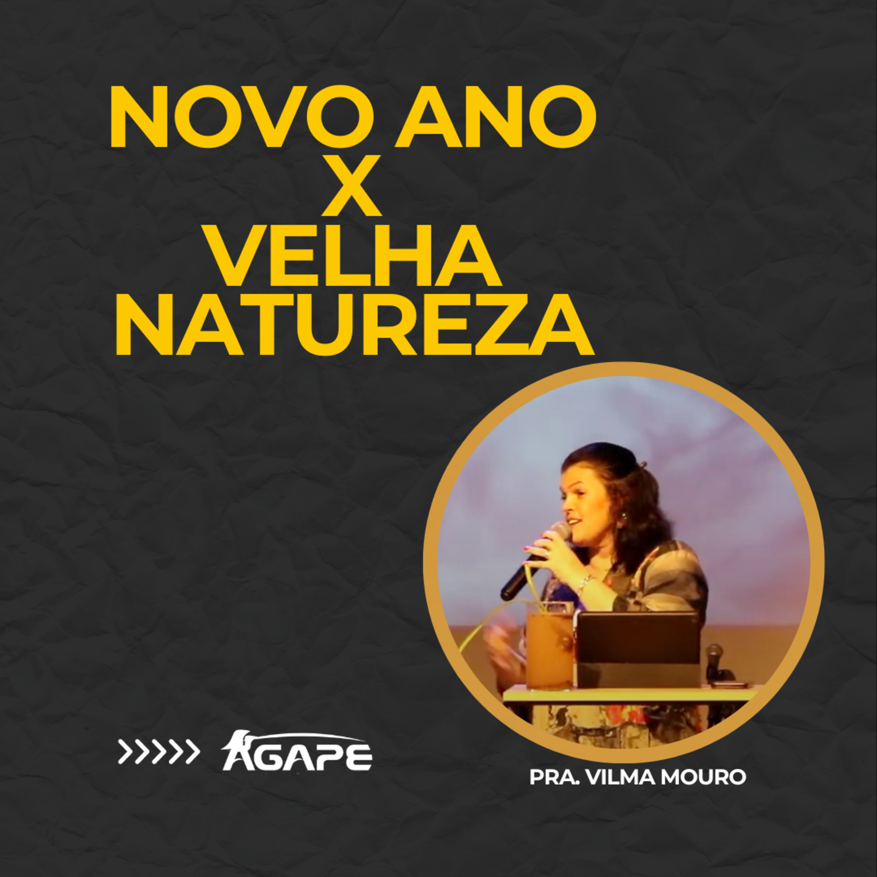 164. Novo Ano x Velha Natureza - Pra Vilma Mouro episode artwork