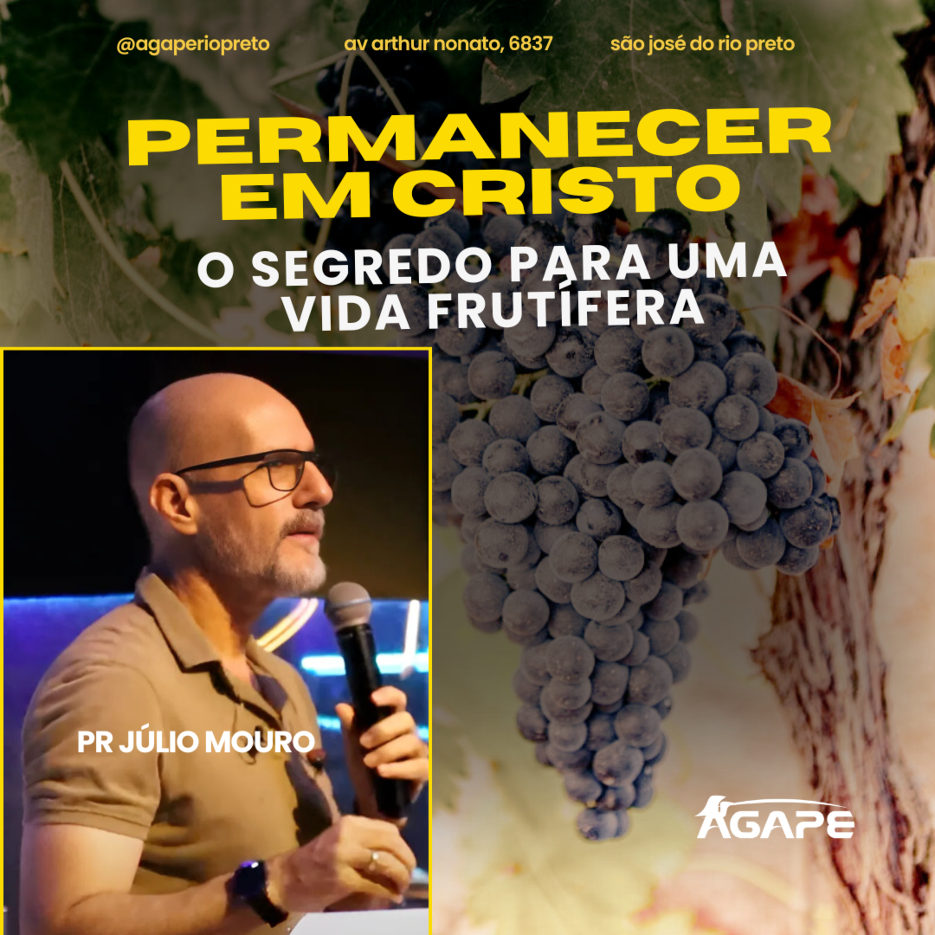 227. Permanecer em Cristo - O Segredo para uma Vida Frutífera - pr Júlio Mouro episode artwork