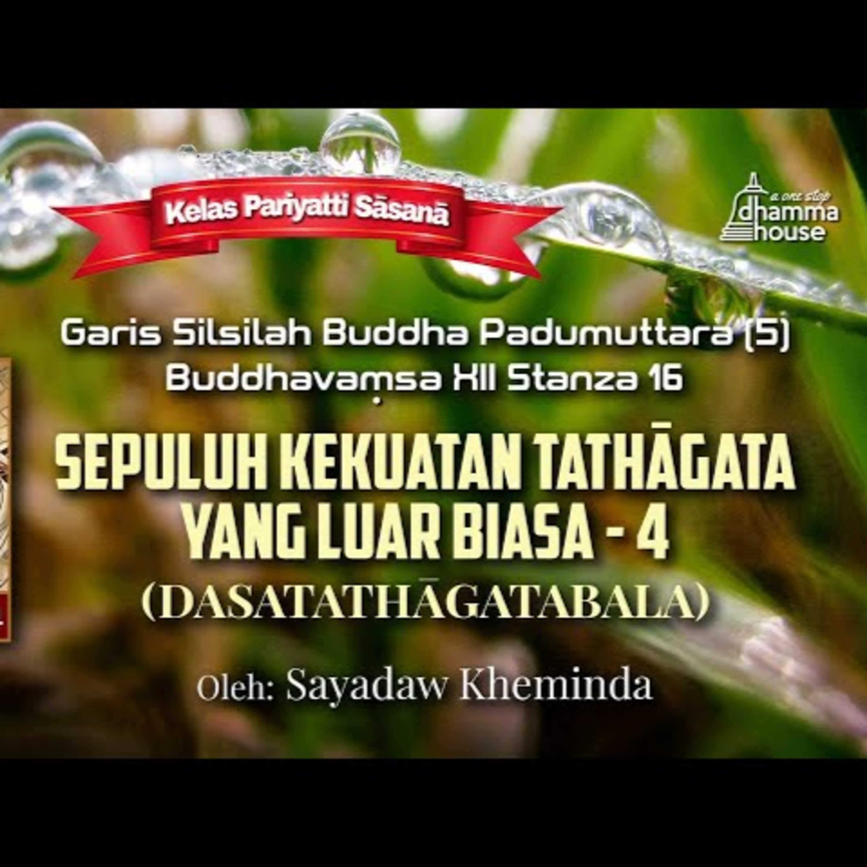 Ashin Kheminda - Garis Silsilah Buddha Padumuttara (5): 10 Kekuatan Tathagata yang Luar Biasa -4 (Dasatathagatabala)
