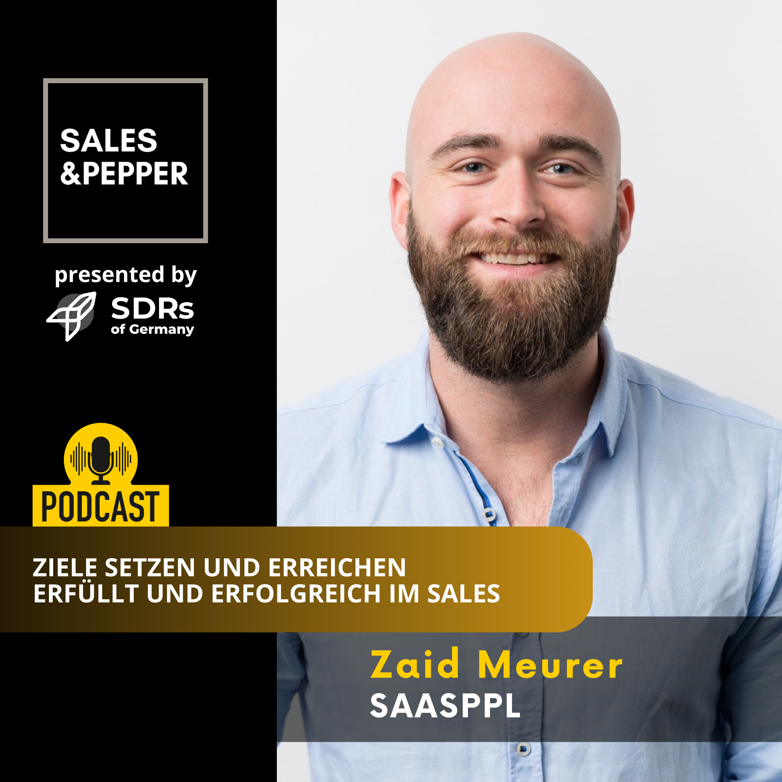 Sales and Pepper Interviews | Der Sales Podcast für modernen Vertrieb