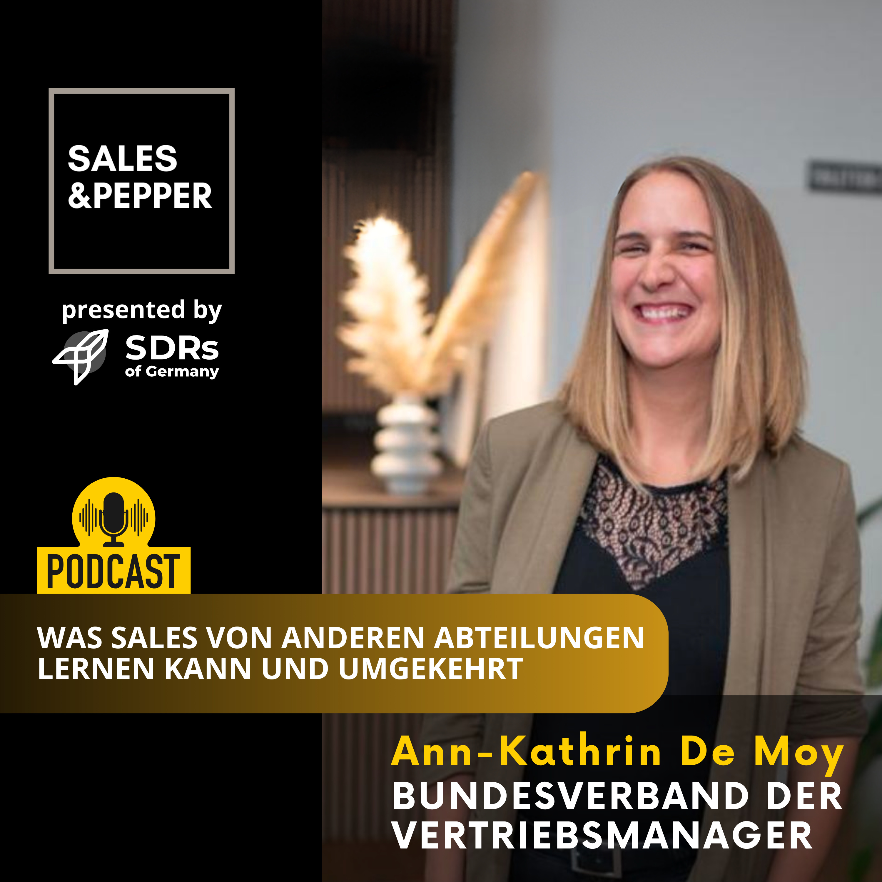 Sales and Pepper Interviews | Der Sales Podcast für modernen Vertrieb