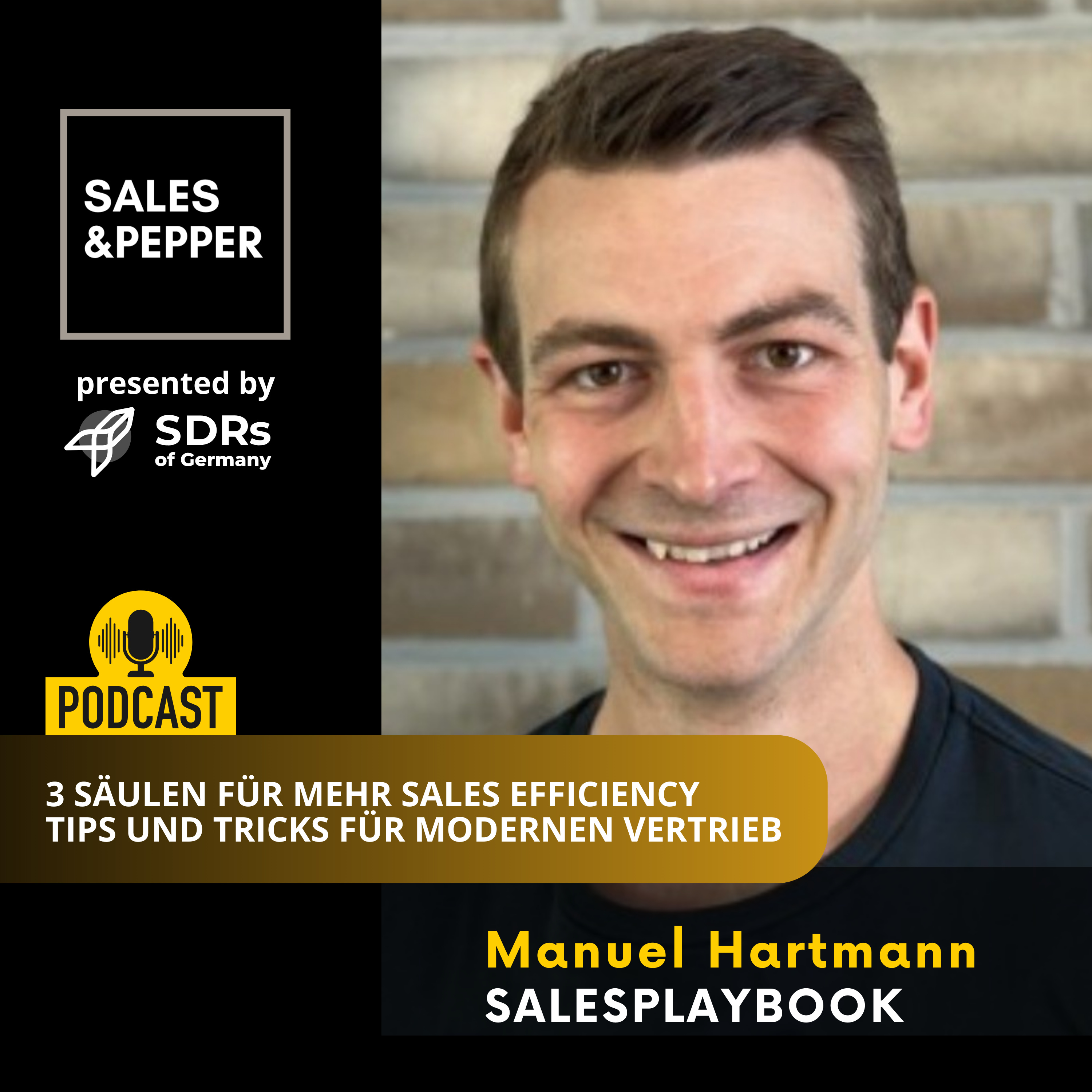Sales and Pepper Interviews | Der Sales Podcast für modernen Vertrieb