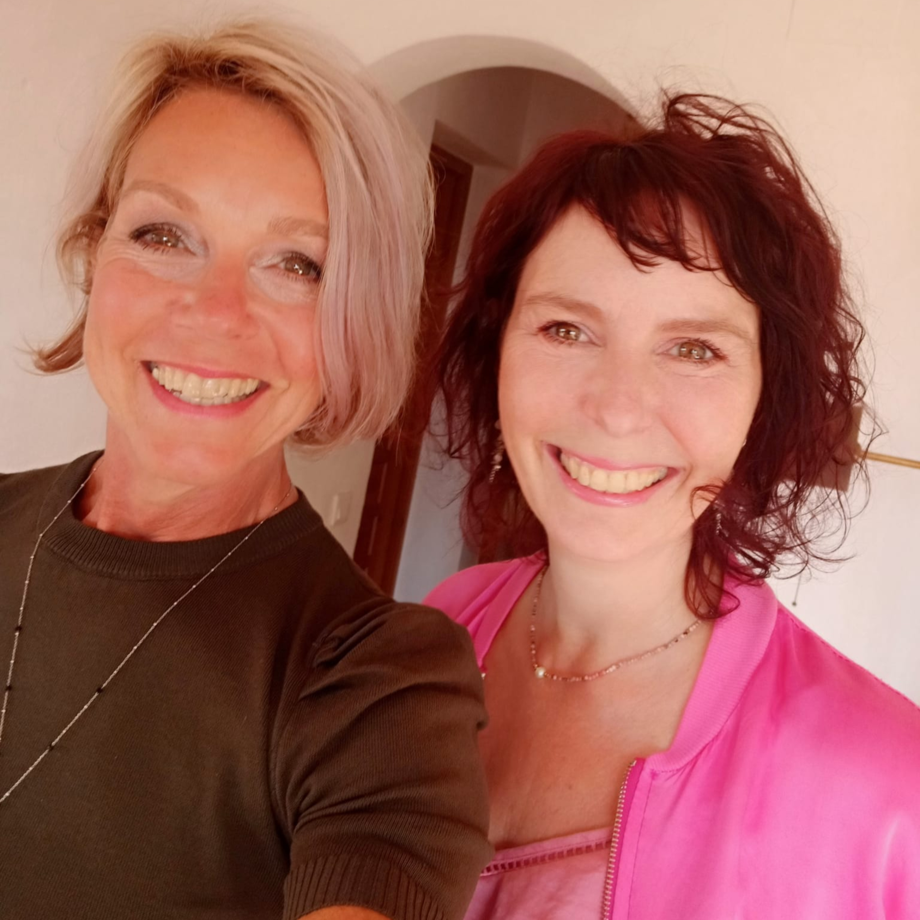 61. Hoe creeër je je droomleven ? Een prachtig verhaal van Yolanda van Zuijlen episode artwork
