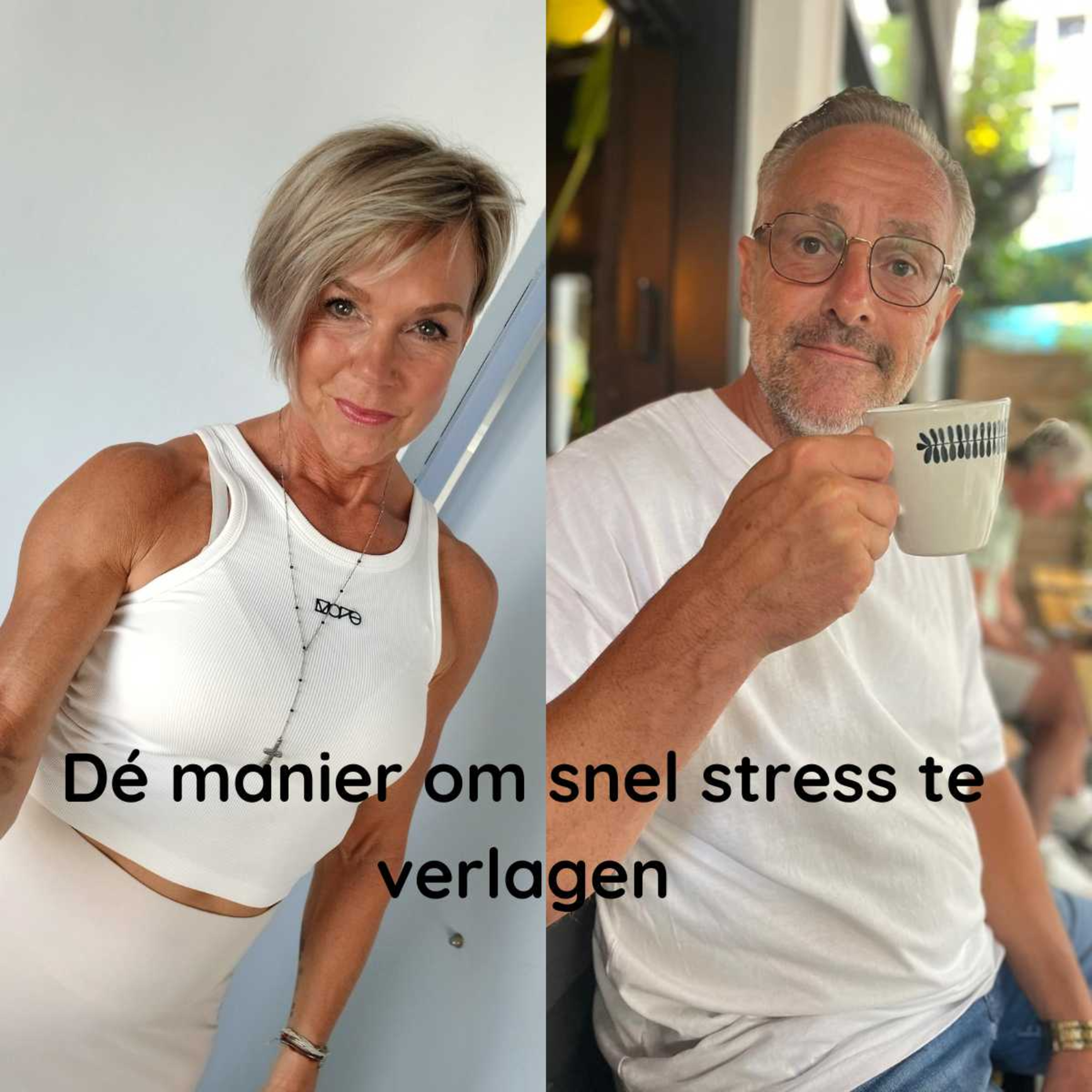 78. Stress! Wat betekent dat voor gezond ouder worden en dé manier om stress direct te verminderen. episode artwork