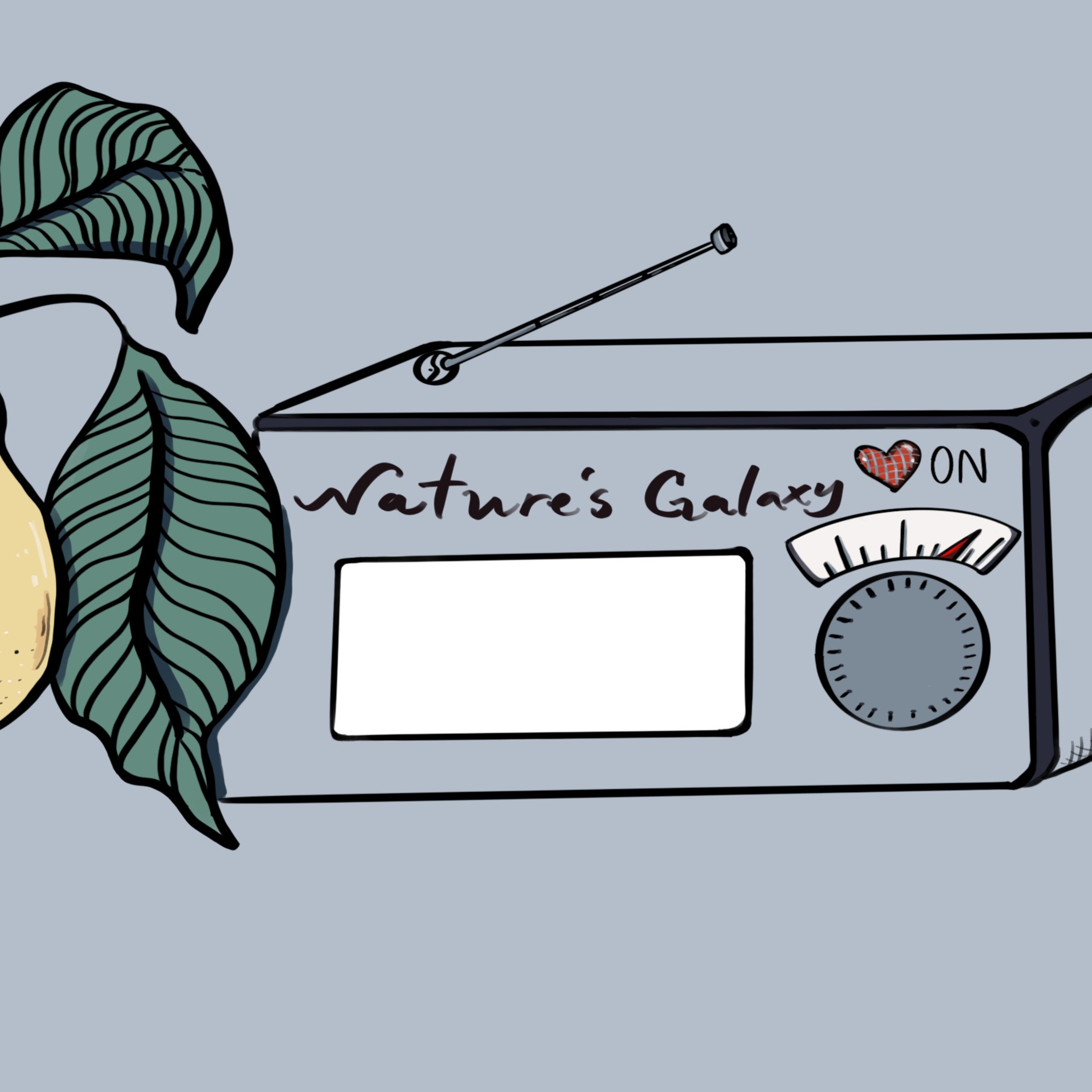 Jupiter’s Recovery, Sagittarius October 2024 tarot episode artwork