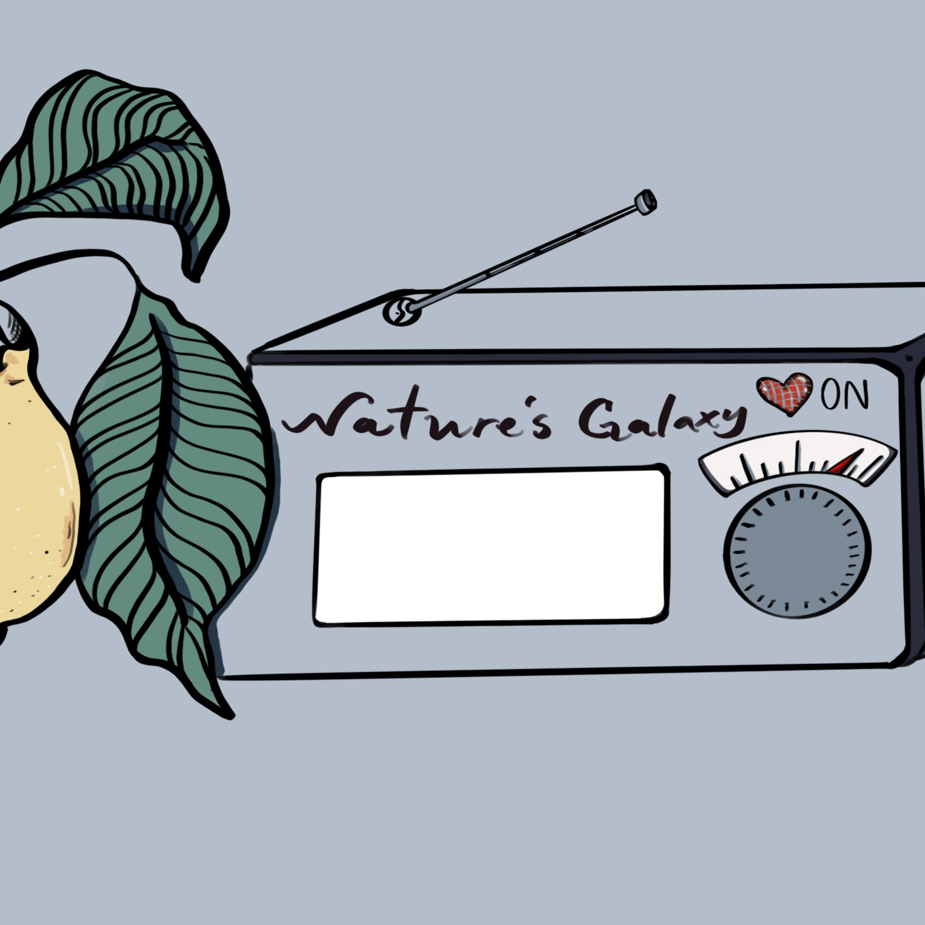 Position to Position, Gemini October 2024 tarot