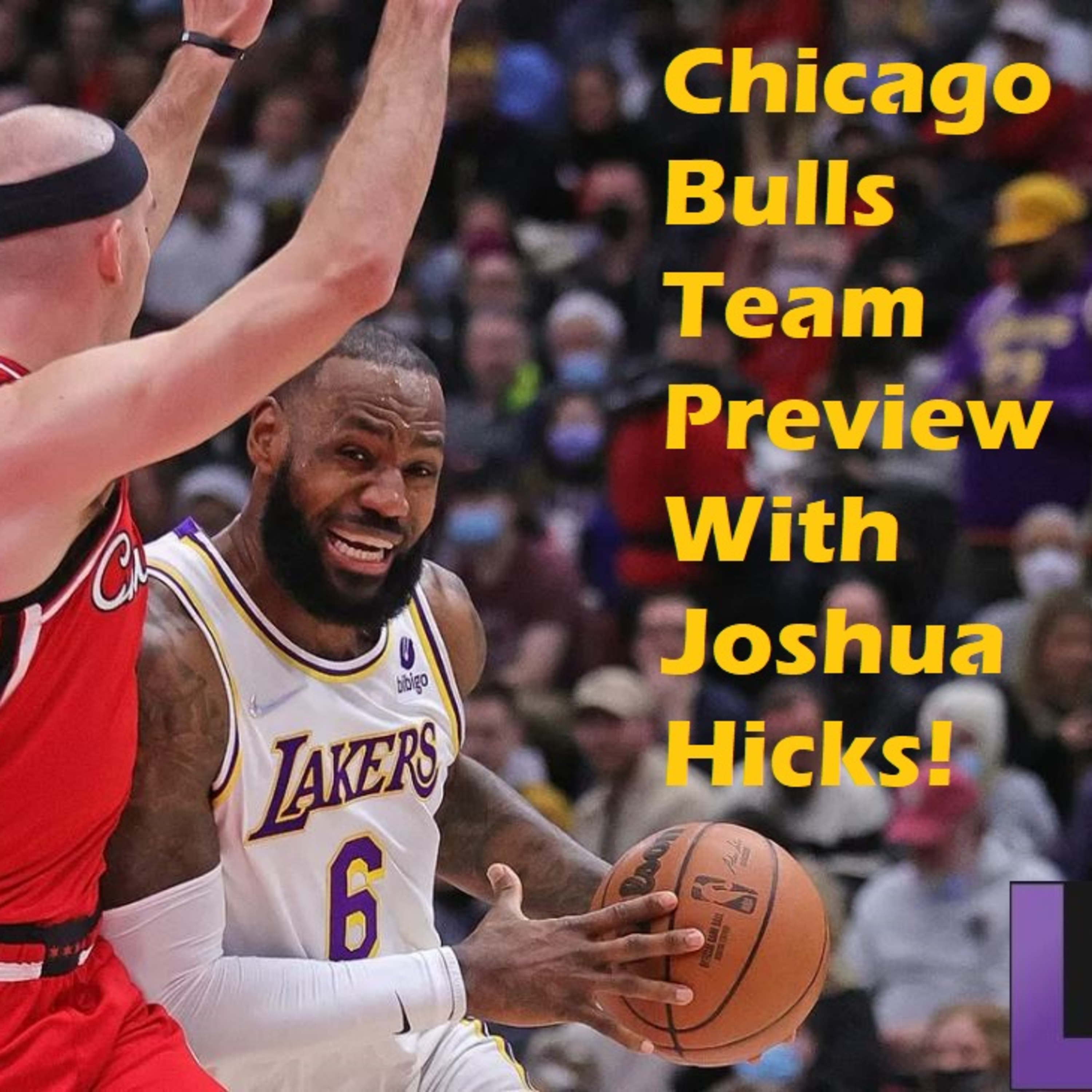 NBA Observations- Chicago Bulls Team Preview With Joshua Hicks!