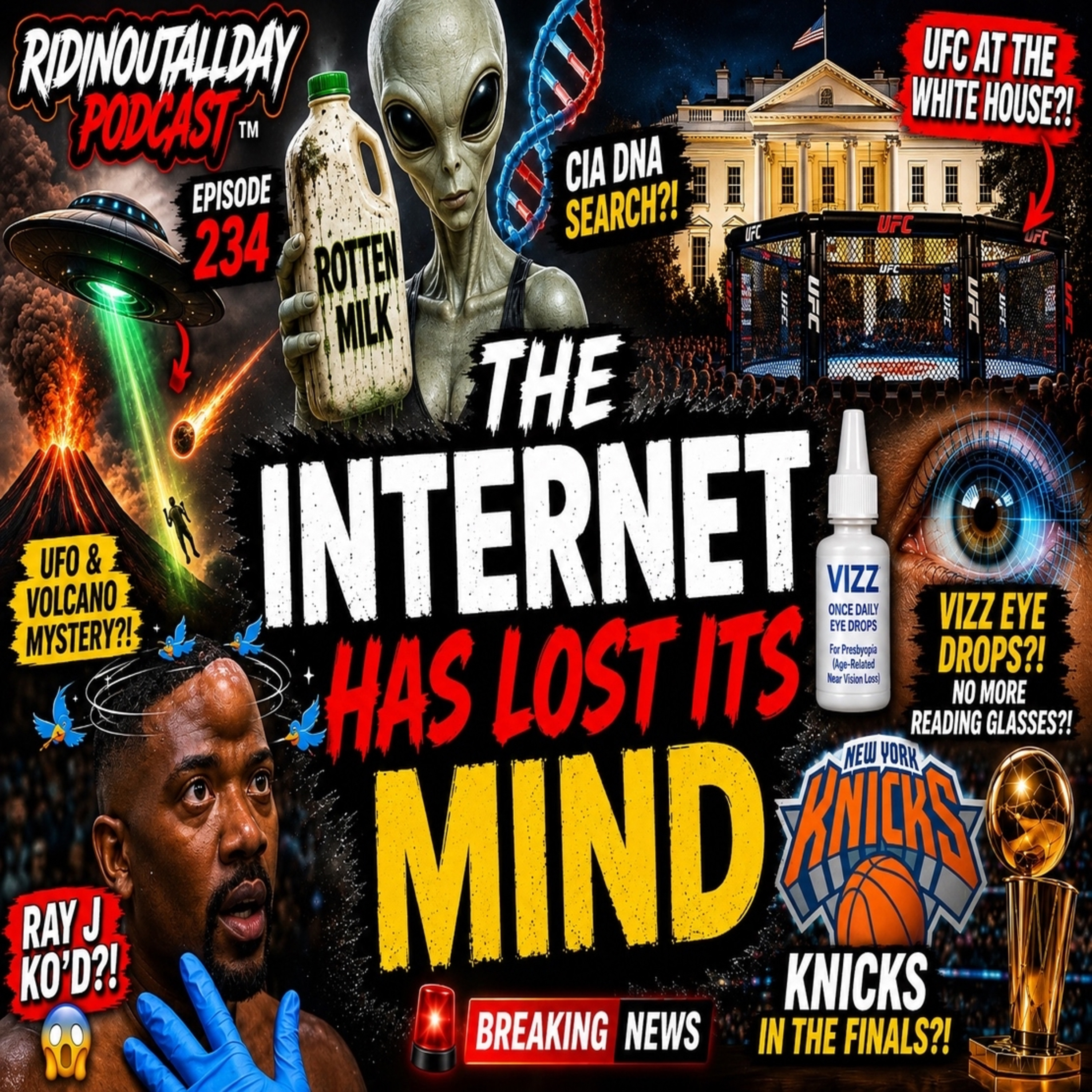 EPISODE 234 | THE INTERNET HAS LOST ITS MIND  episode artwork