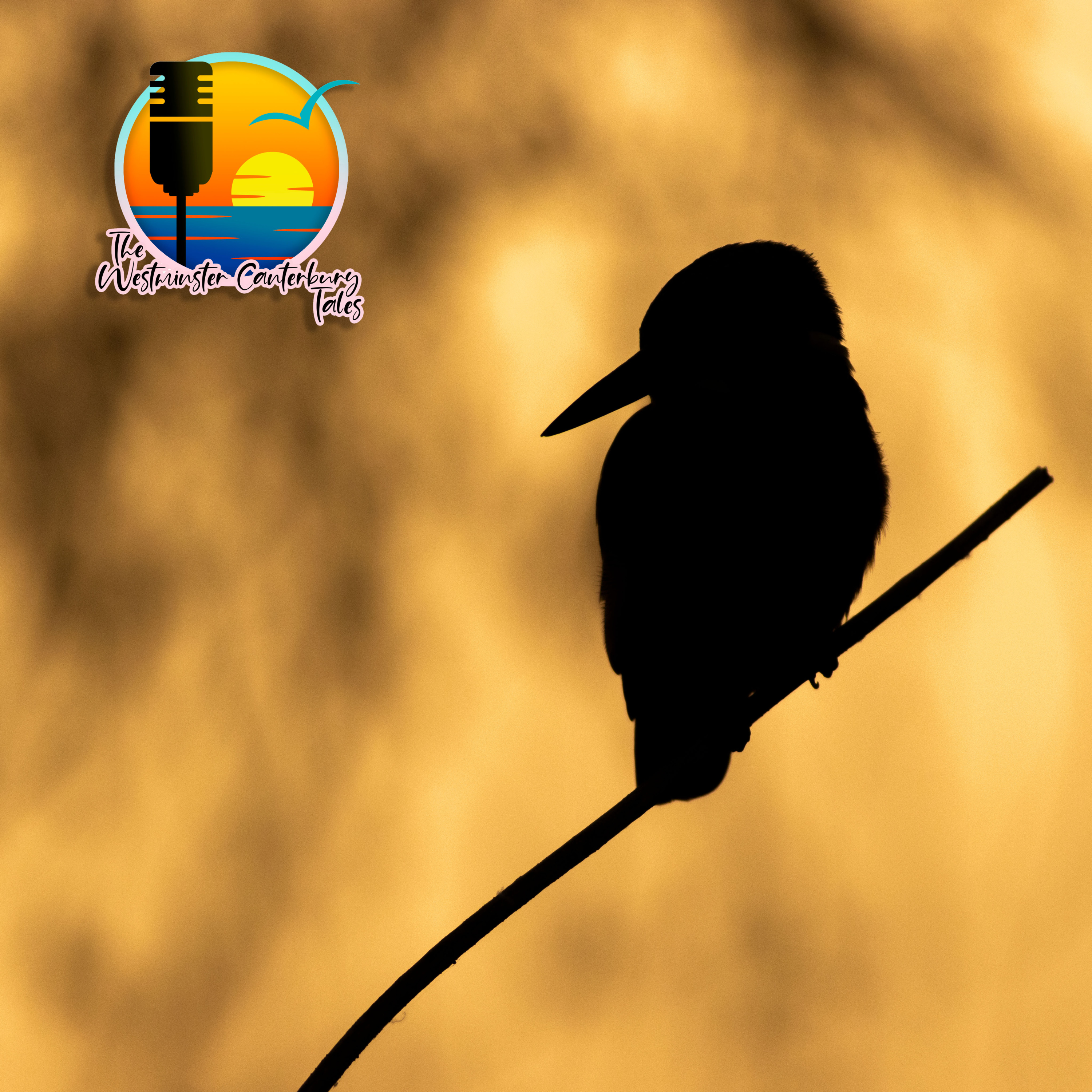 Tell Me a Story - Michael Pawlukiewicz and Birding episode artwork