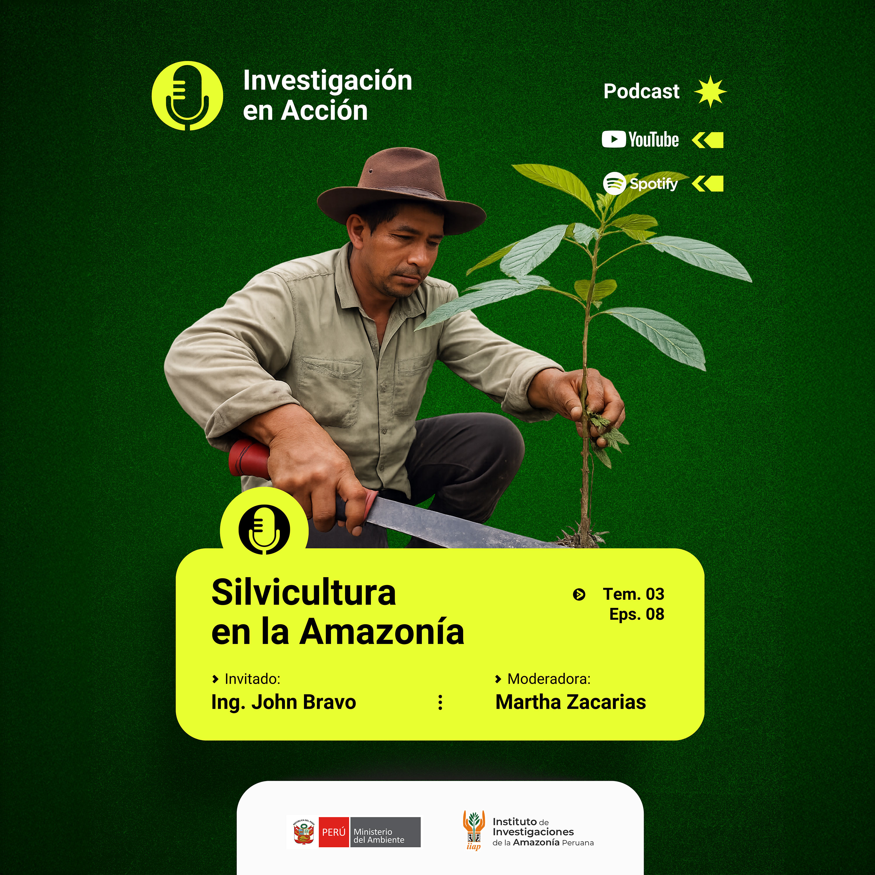 Silvicultura en la Amazonía episode artwork