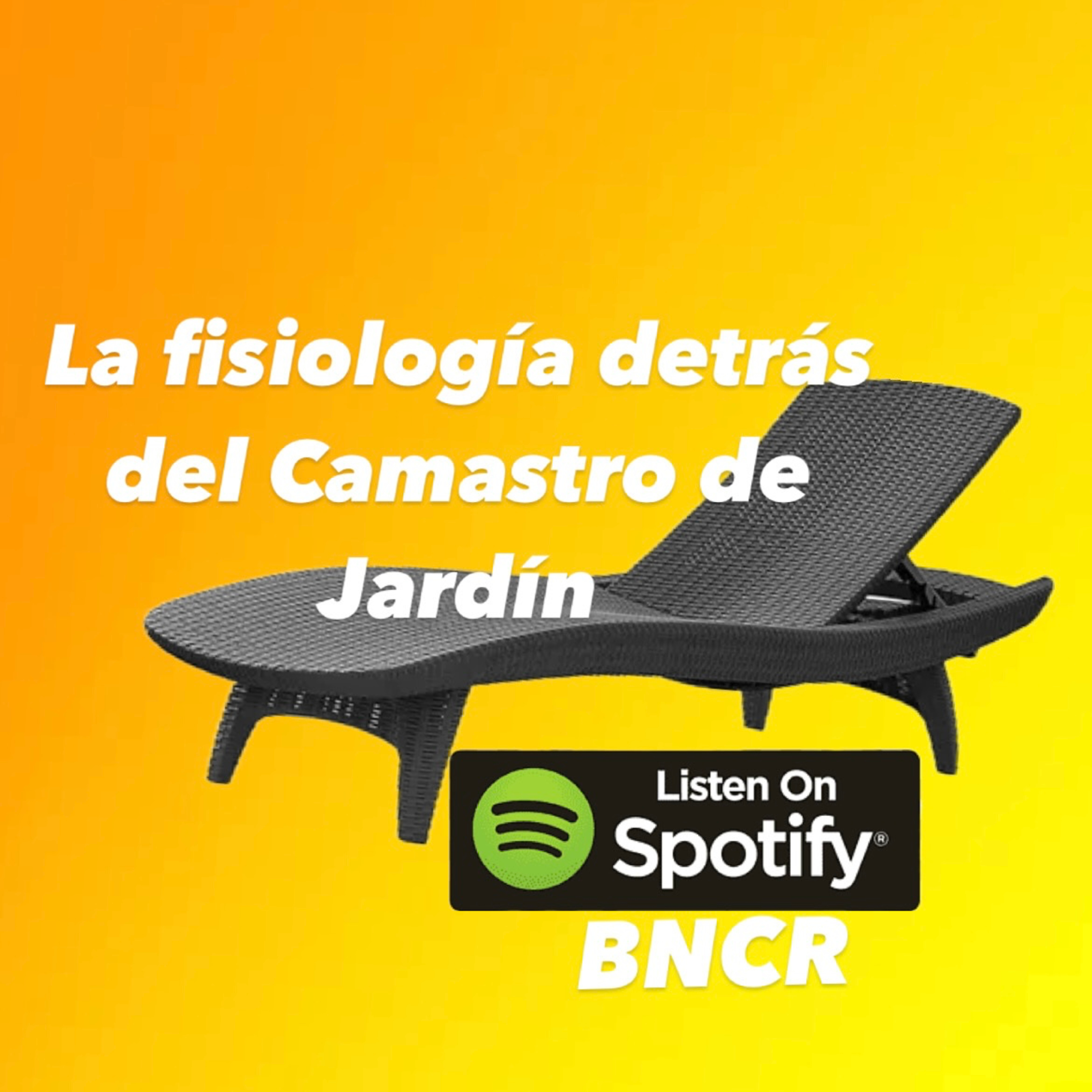 Cápsulas de Anestesiología